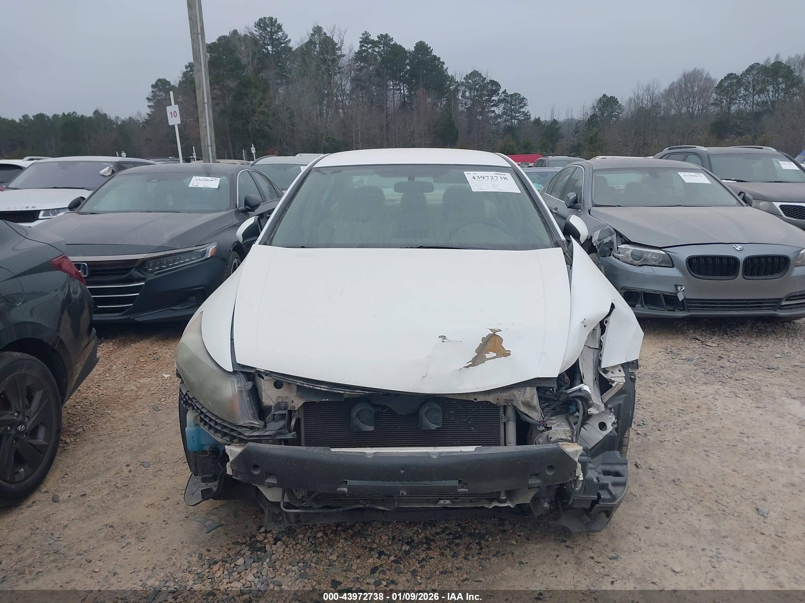 HONDA ACCORD image 6