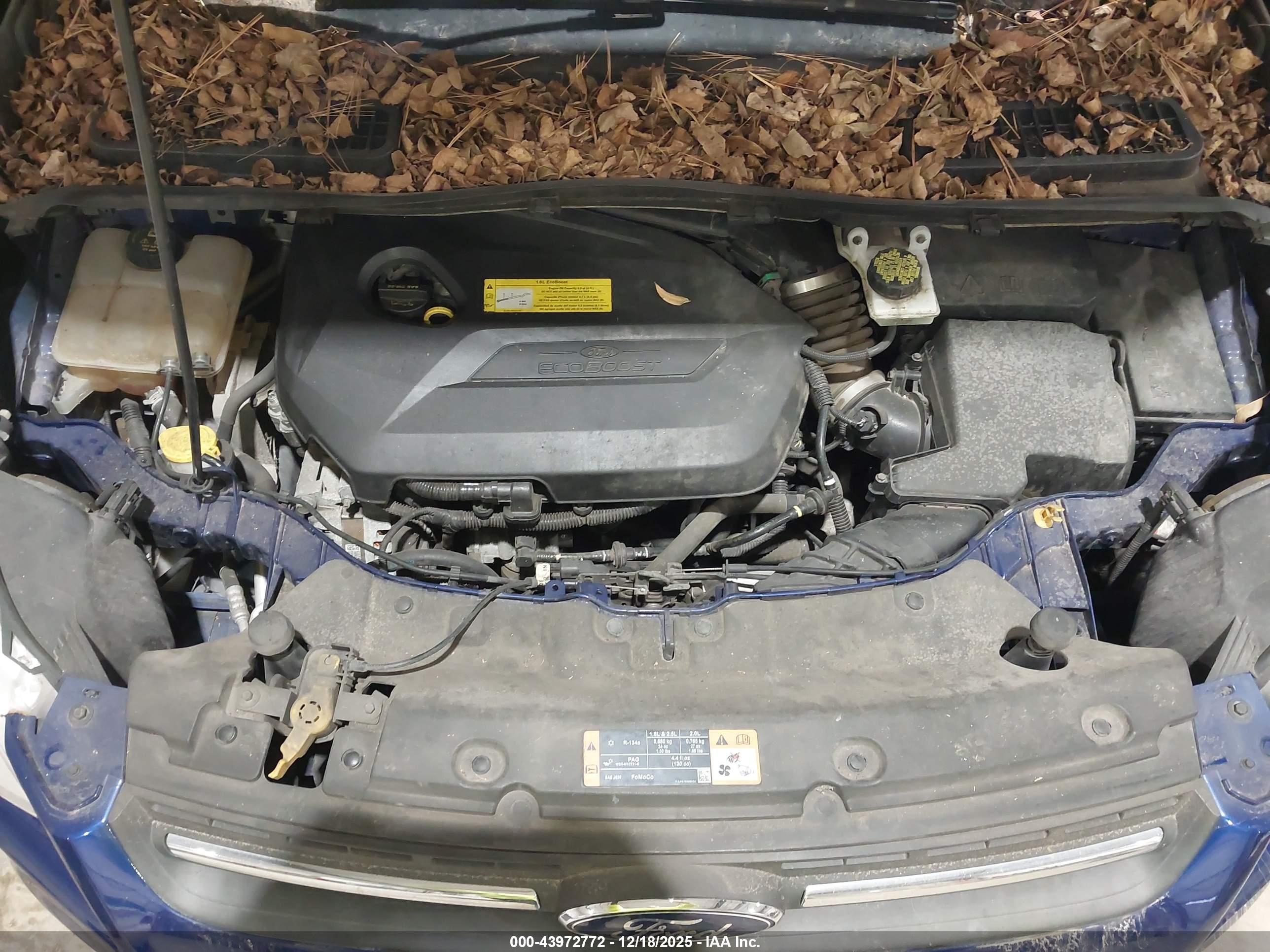 FORD ESCAPE image 10