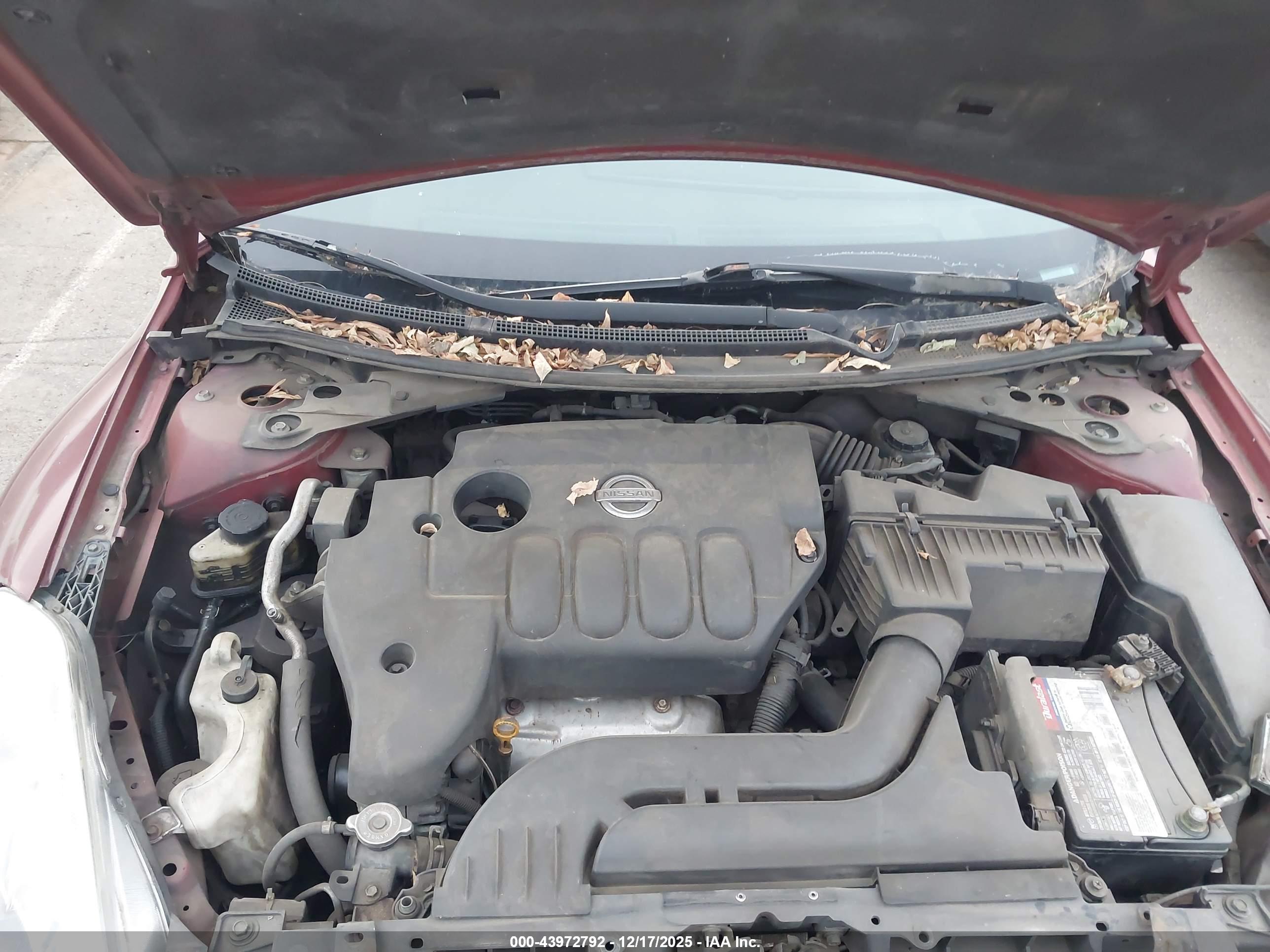 NISSAN ALTIMA image 10
