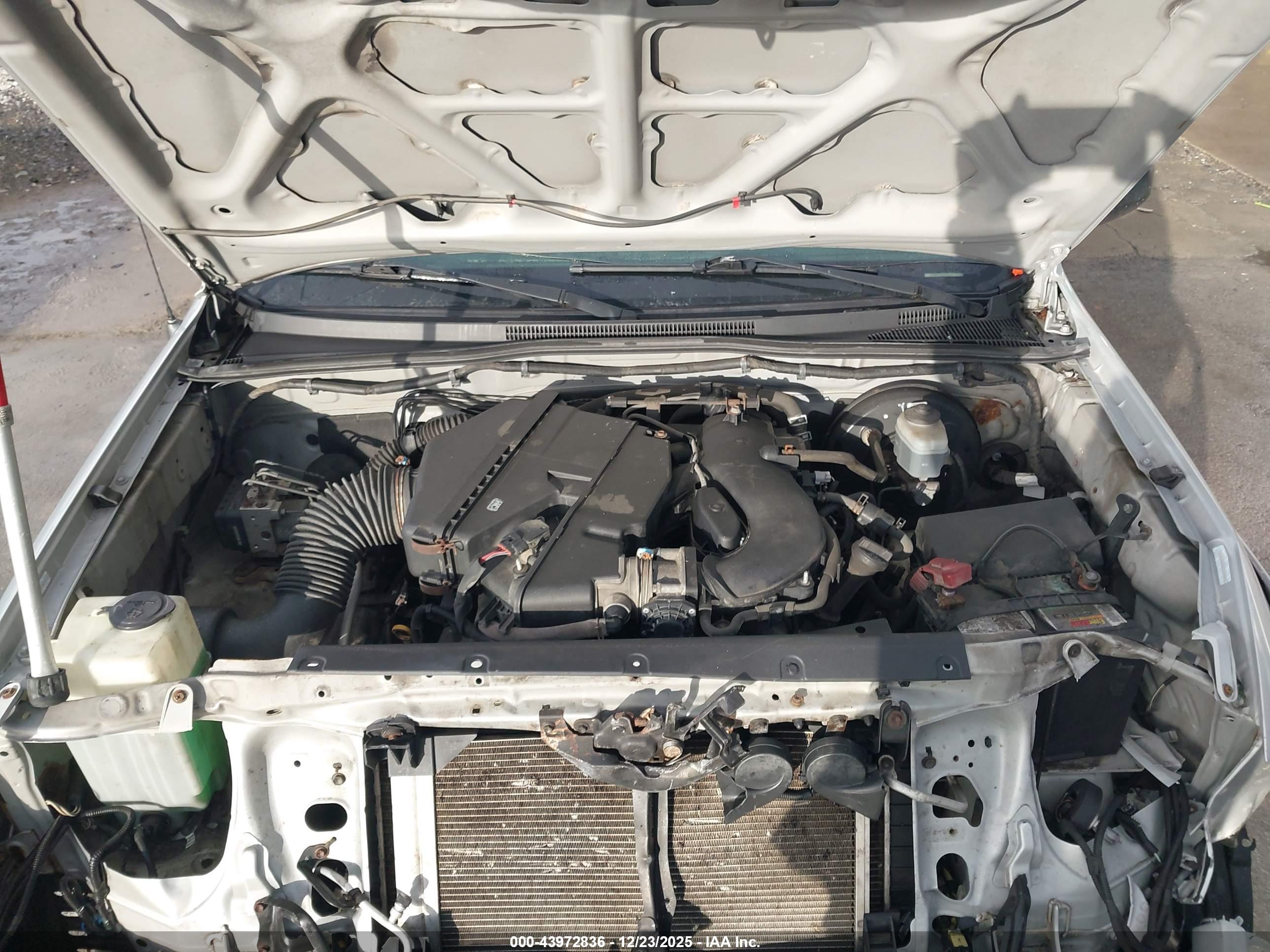 TOYOTA TACOMA image 10