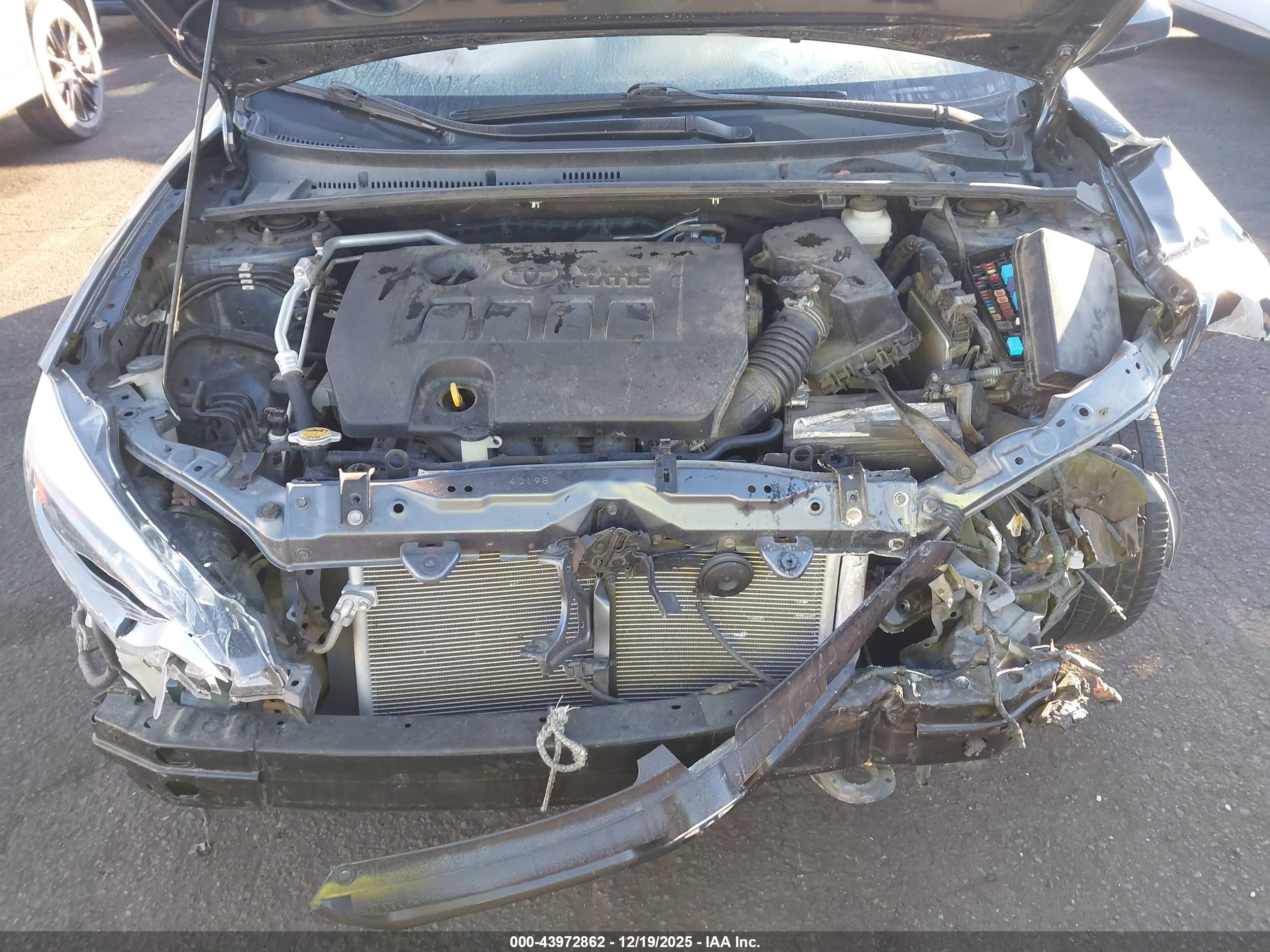 TOYOTA COROLLA image 10