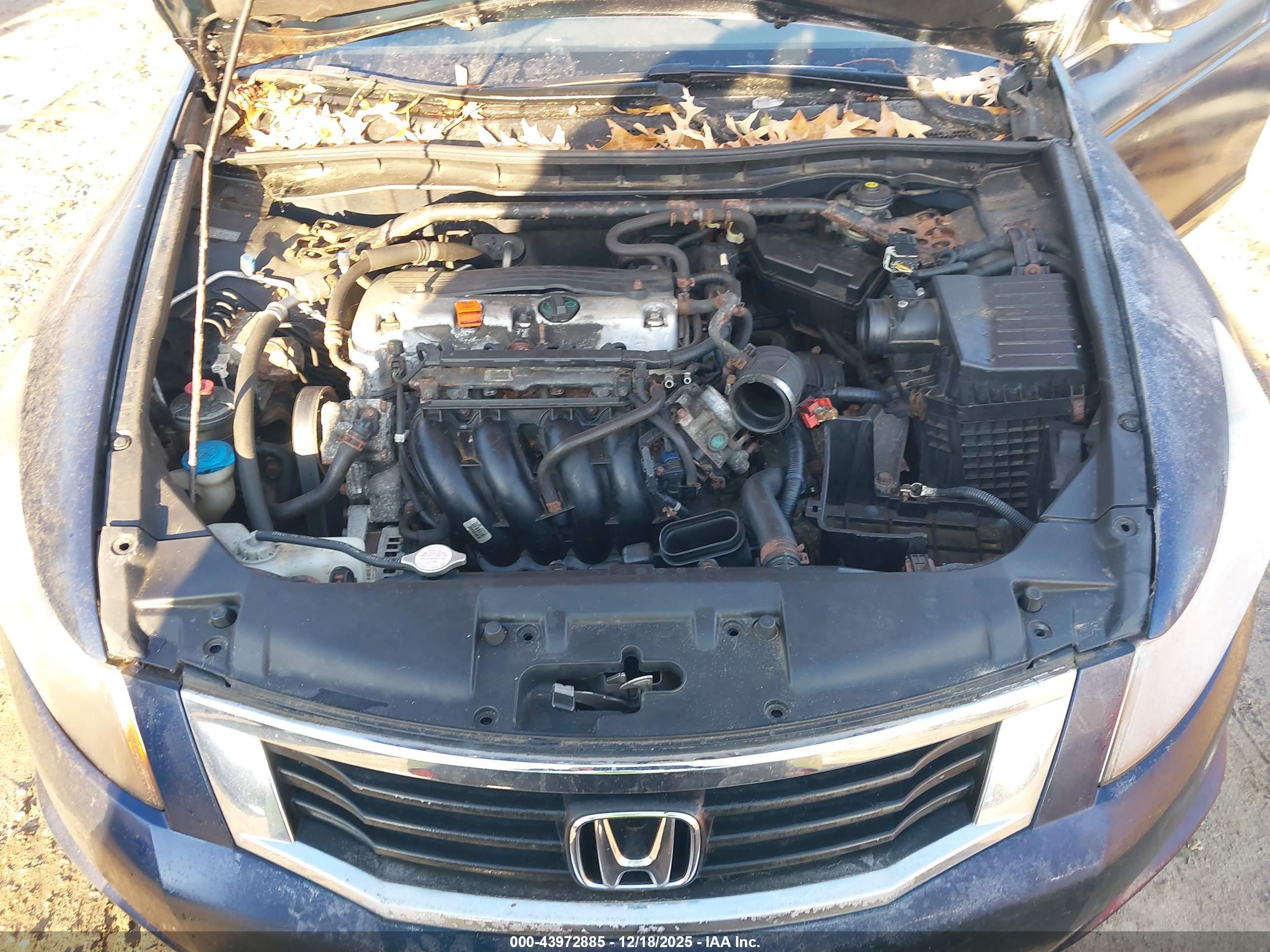 HONDA ACCORD image 10