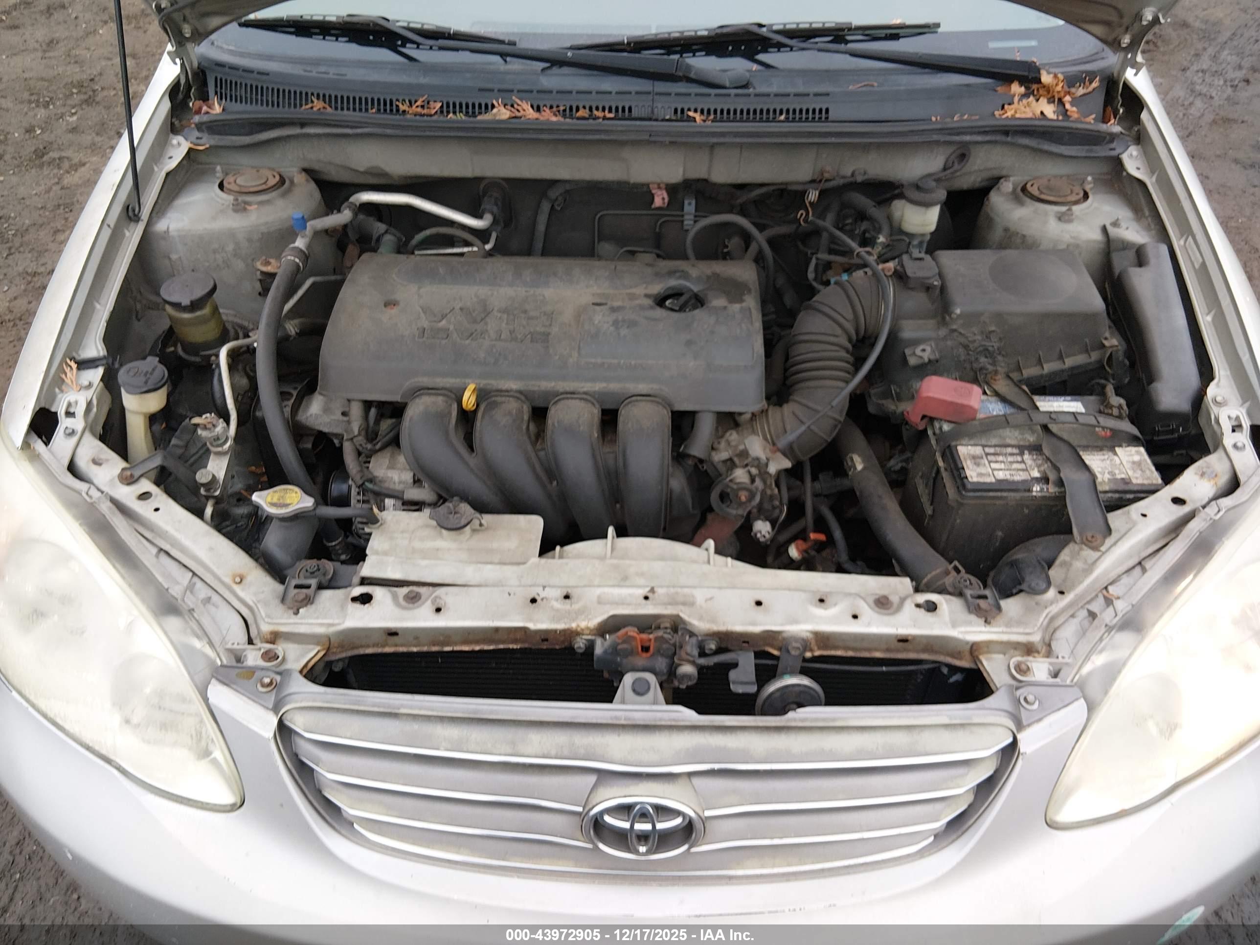 TOYOTA COROLLA image 10