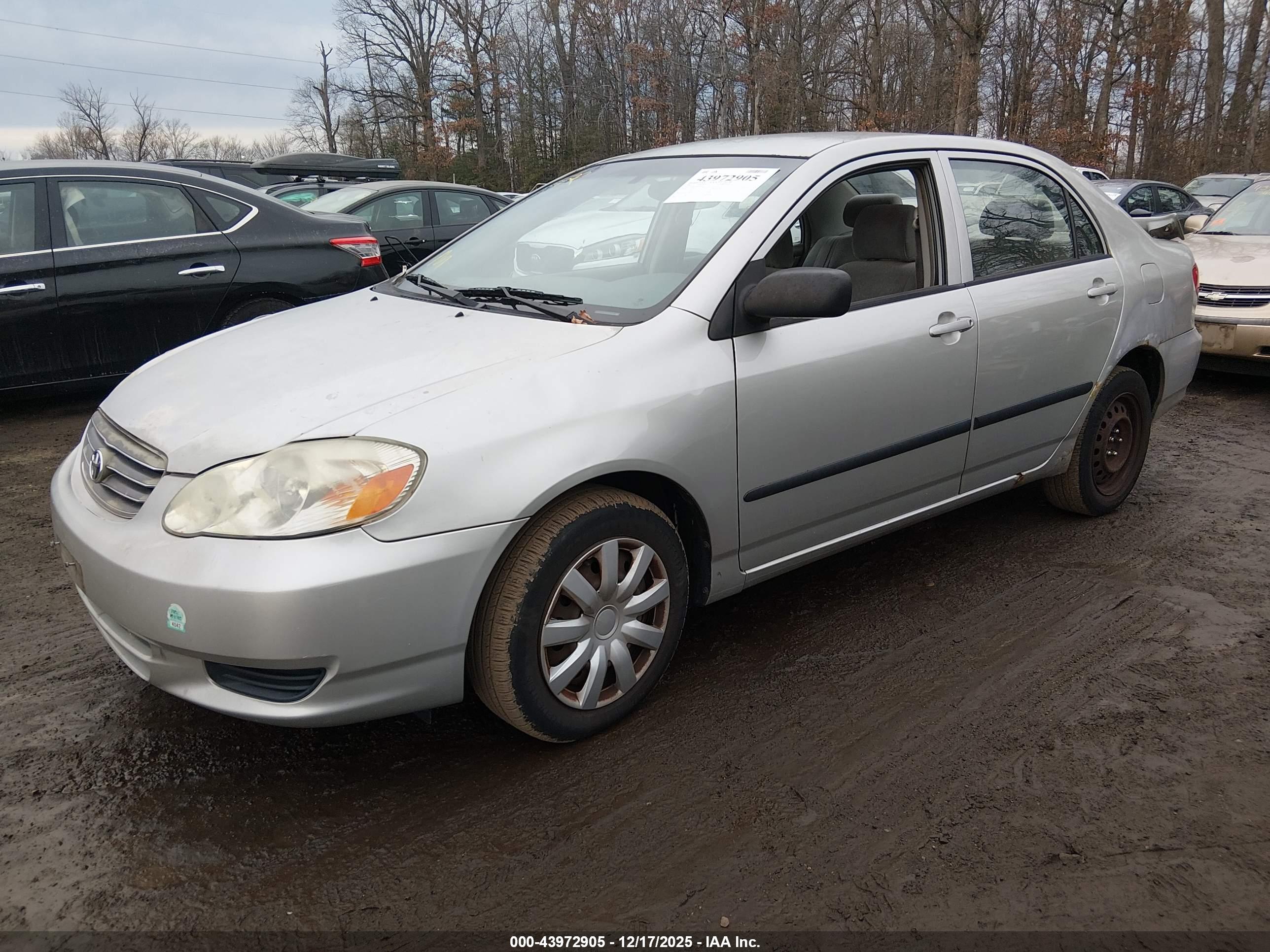 TOYOTA COROLLA image 2