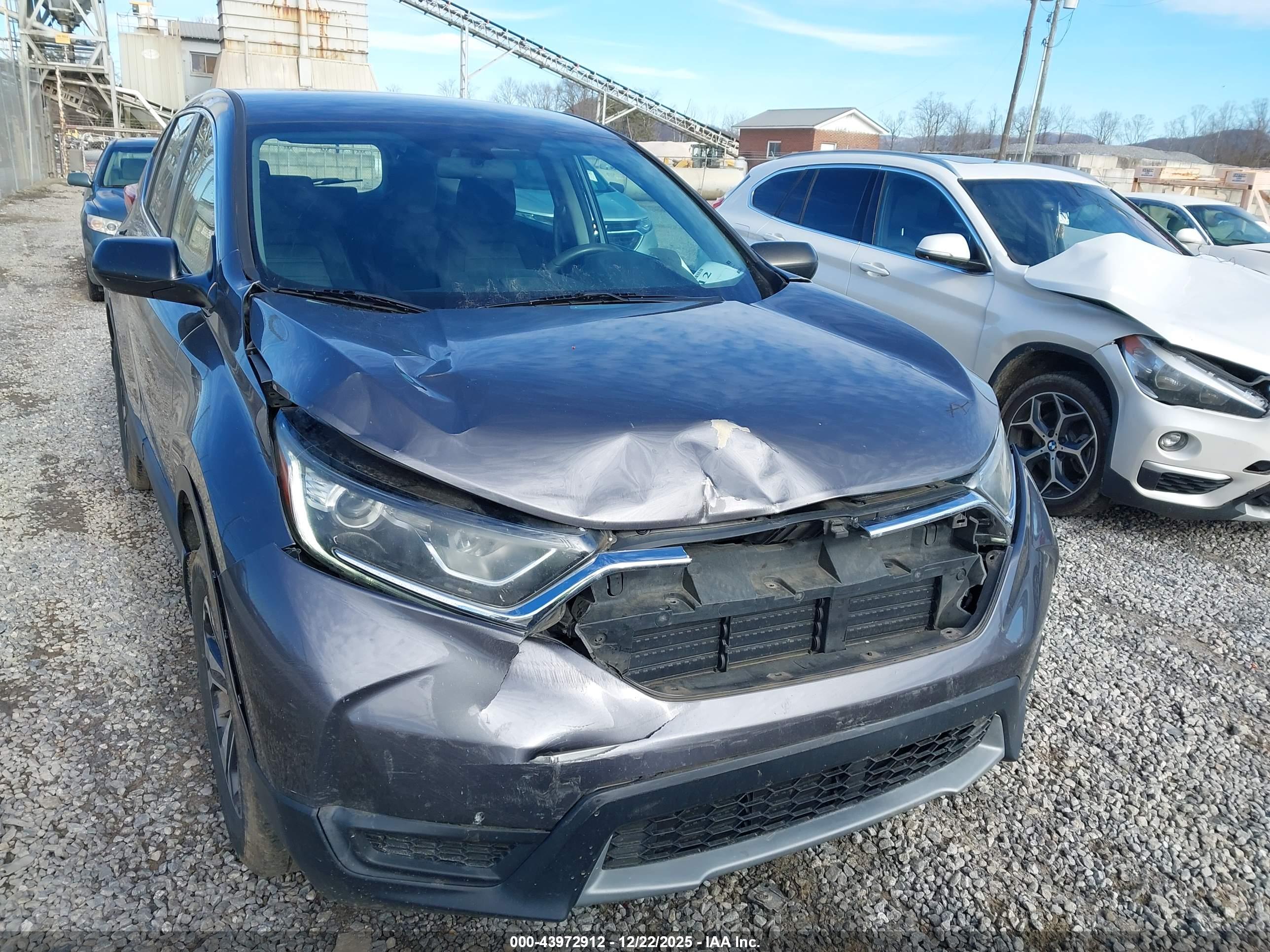 HONDA CR-V image 6