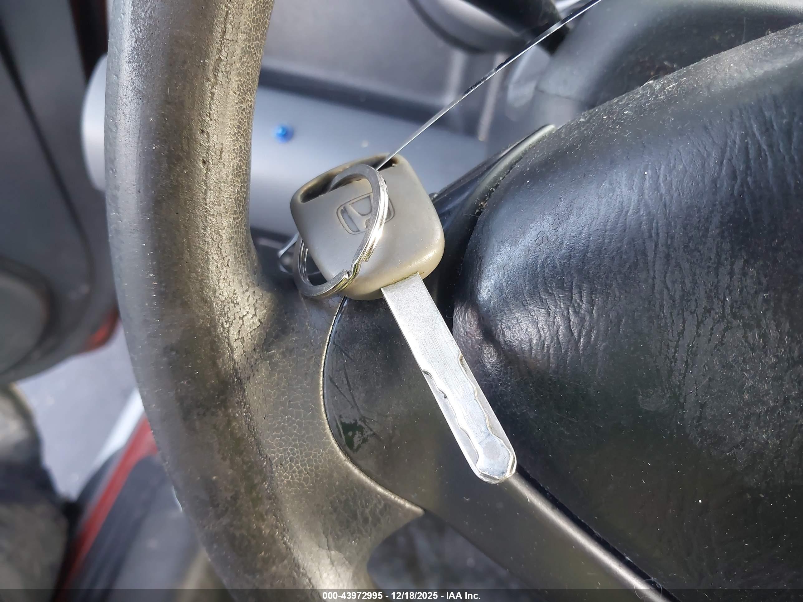 HONDA ELEMENT image 11