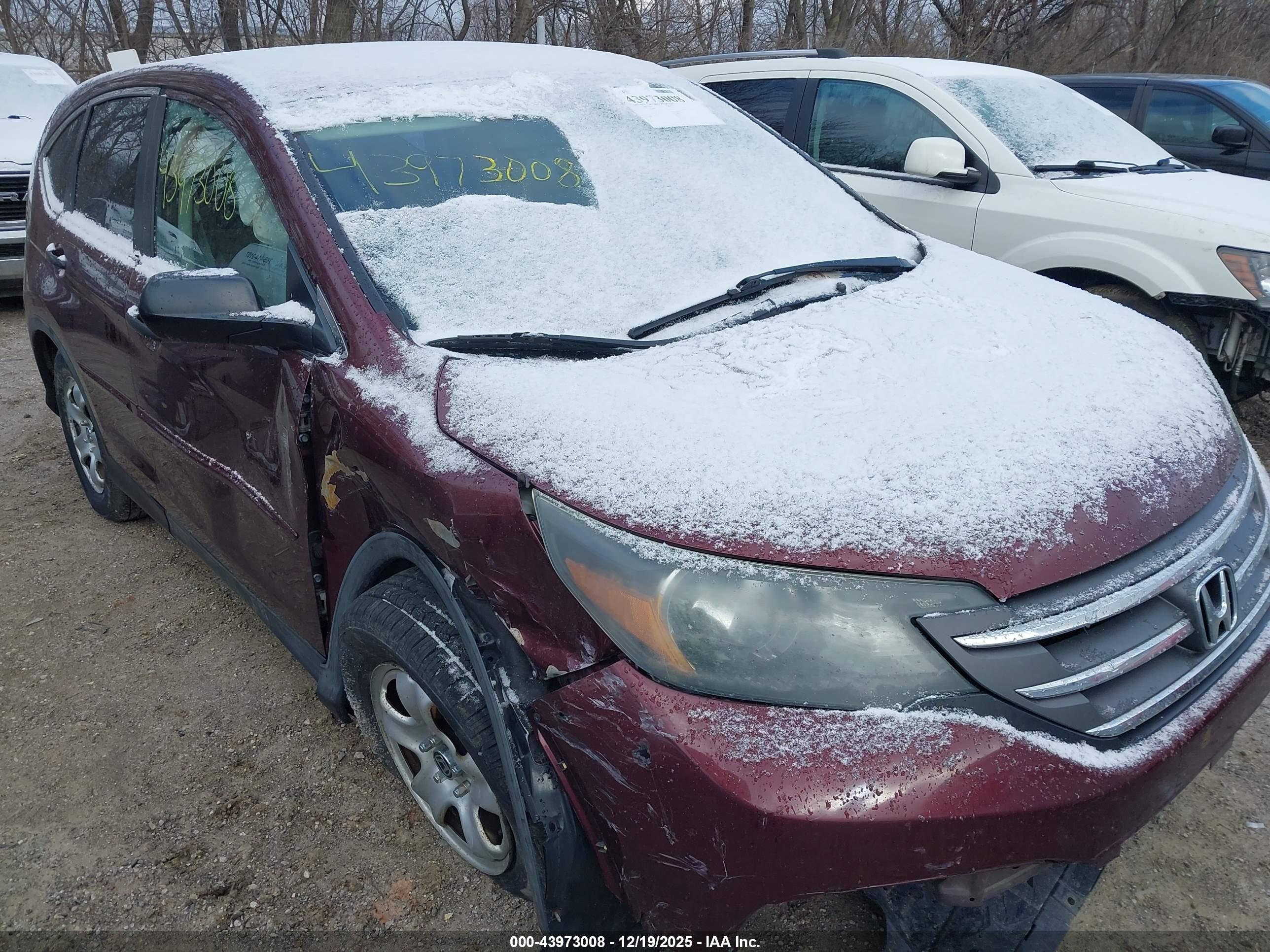 HONDA CR-V image 6