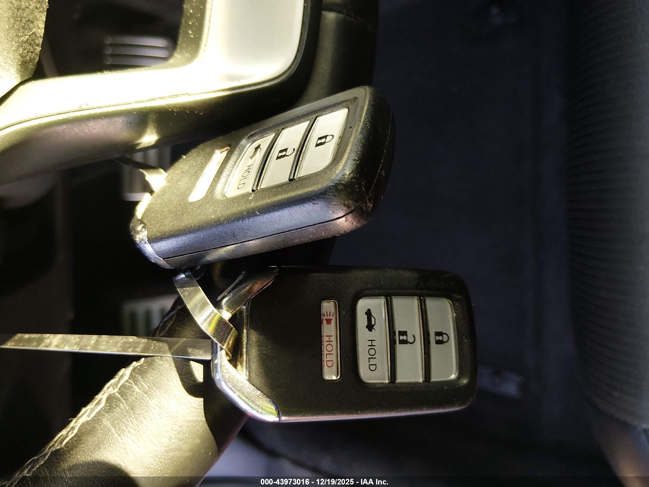 HONDA ACCORD image 11