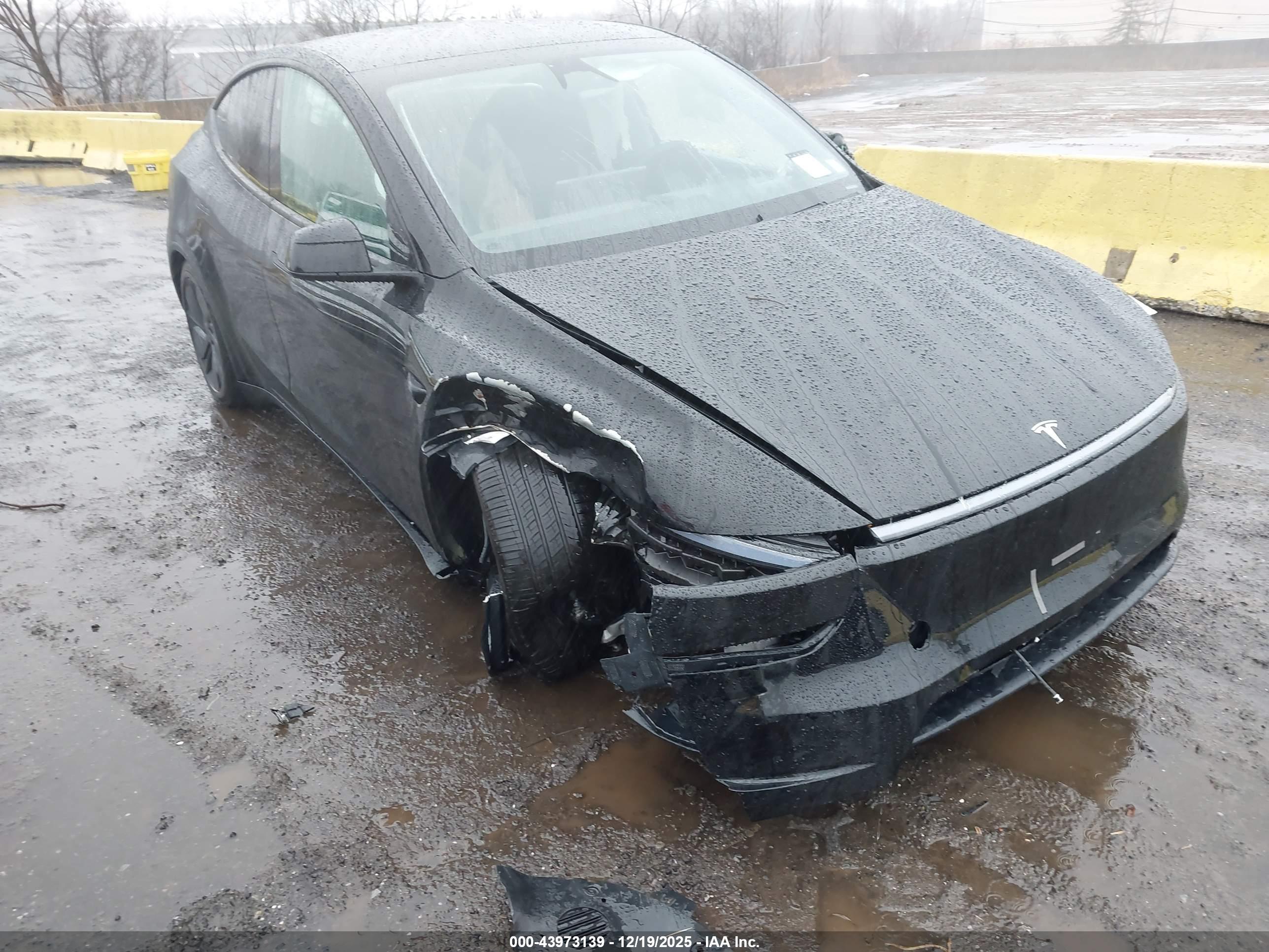 TESLA MODEL image 6