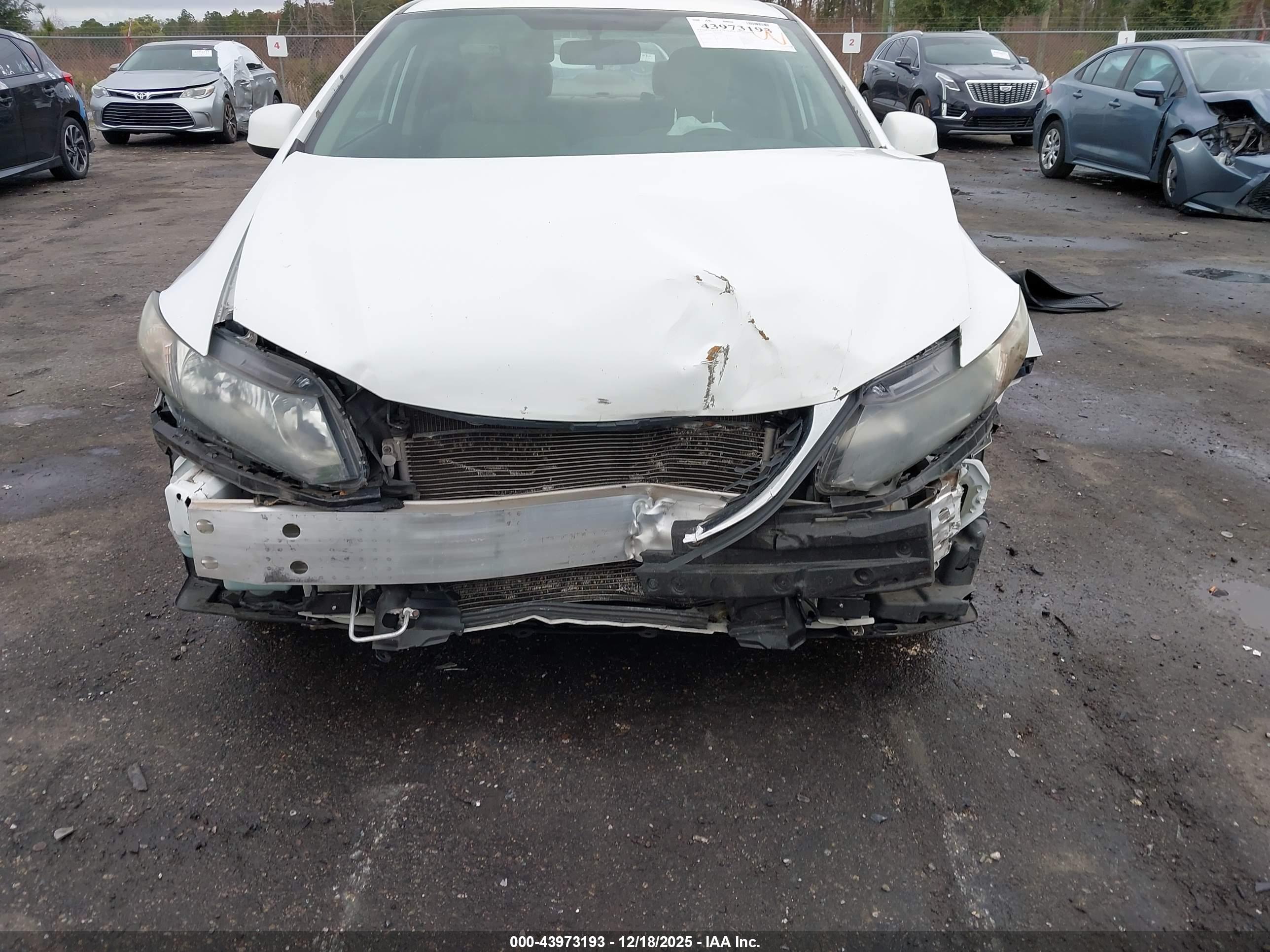 HONDA CIVIC image 6
