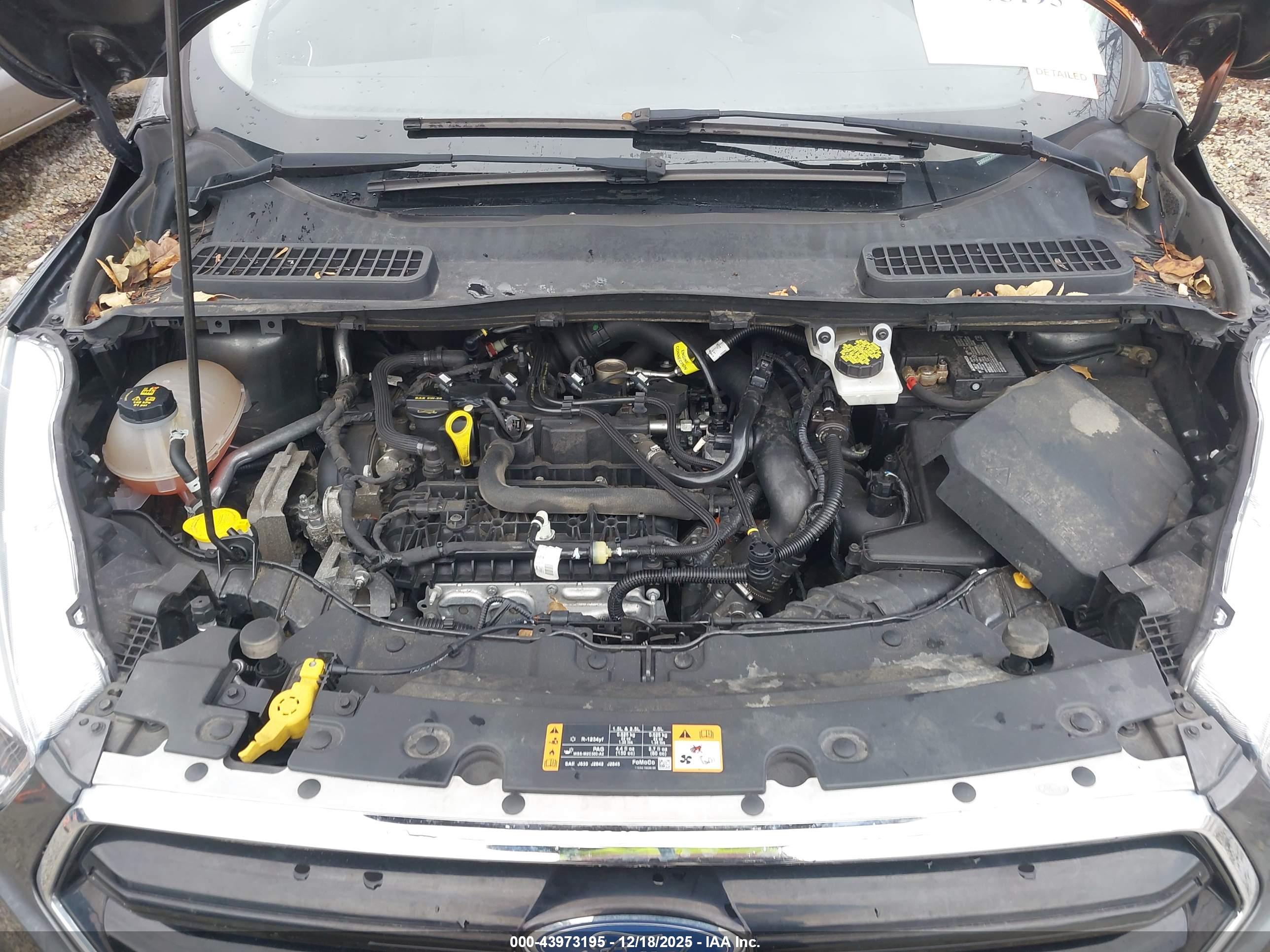 FORD ESCAPE image 10