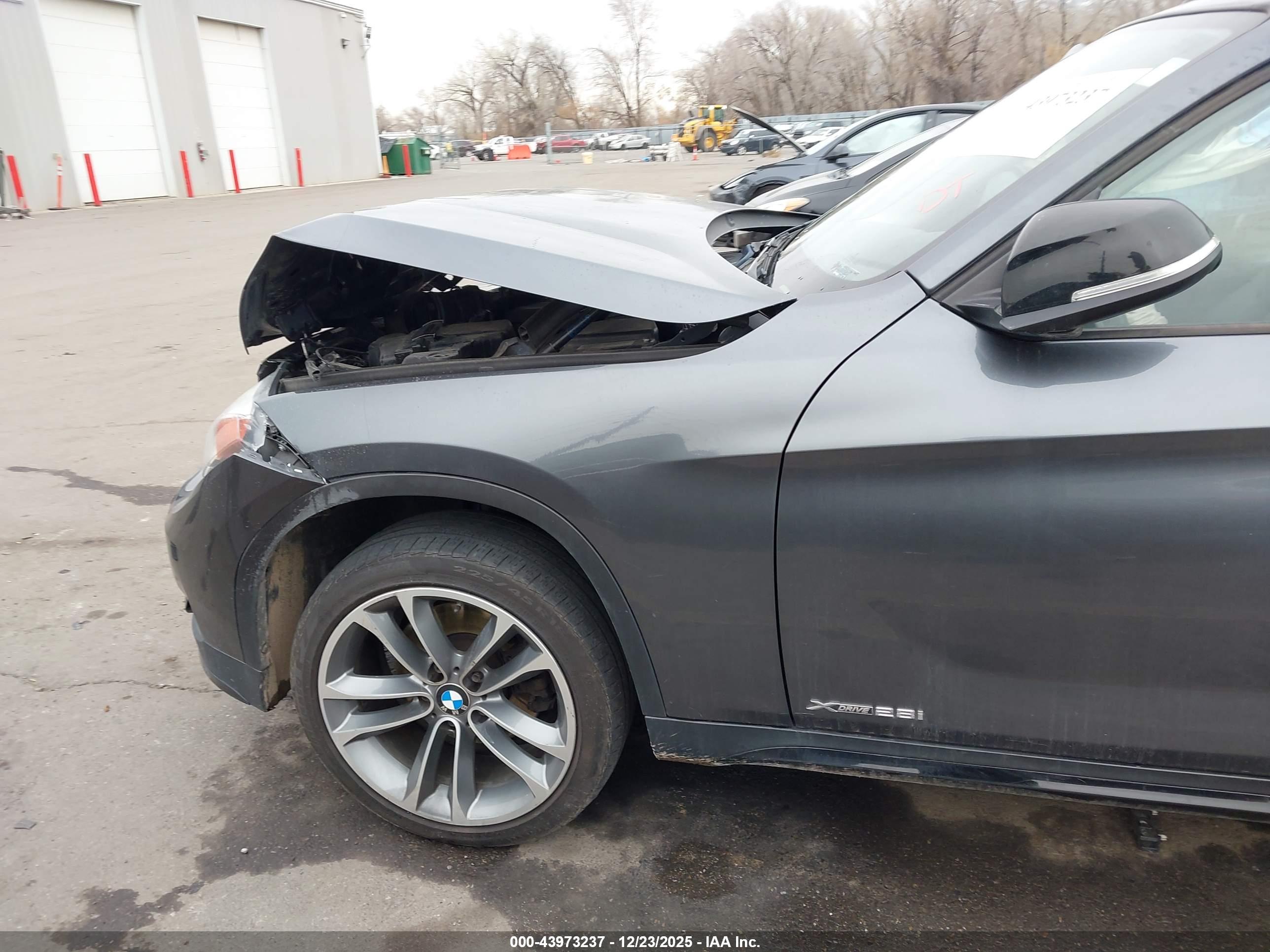 BMW X1 image 6