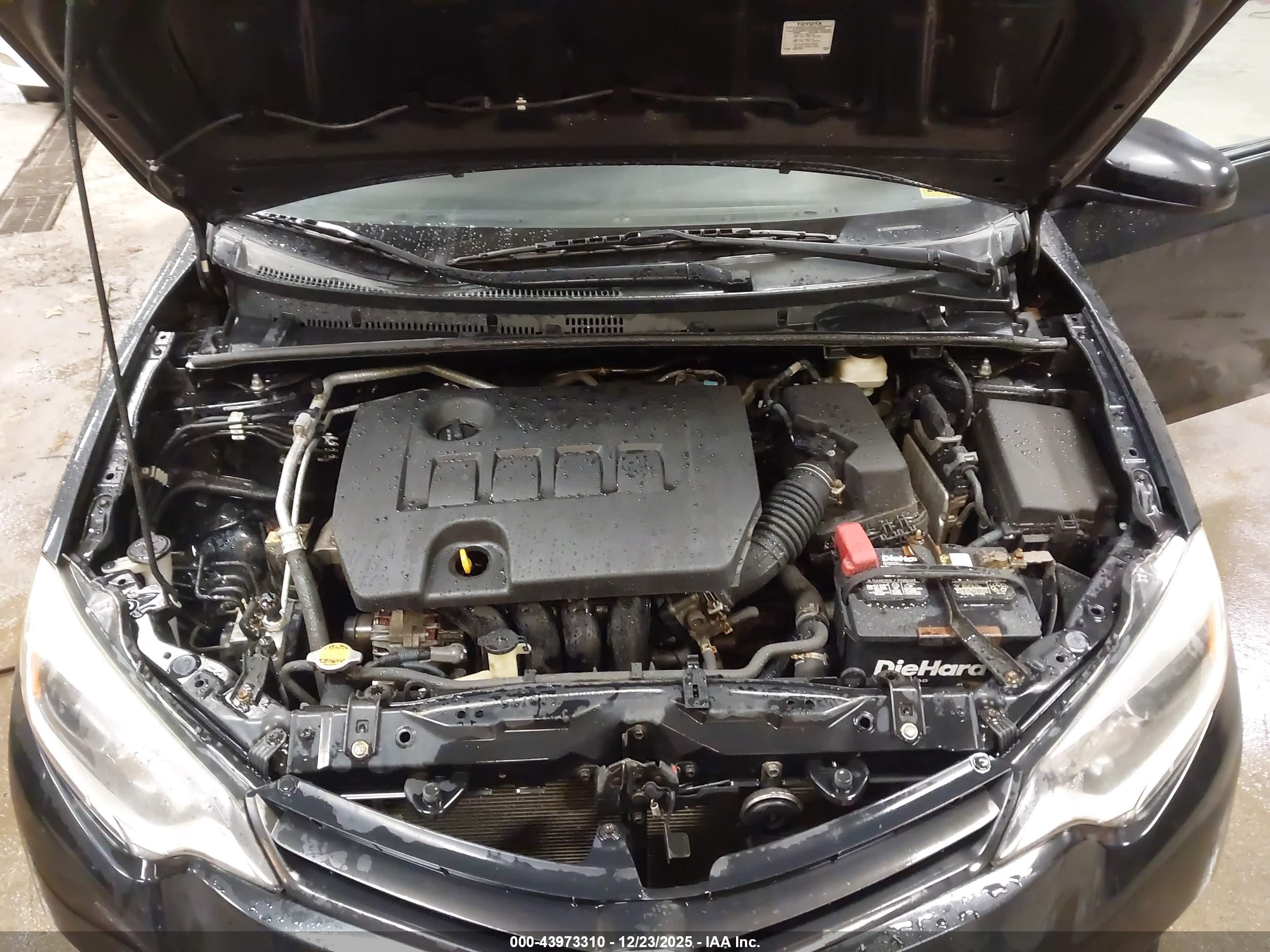 TOYOTA COROLLA image 10