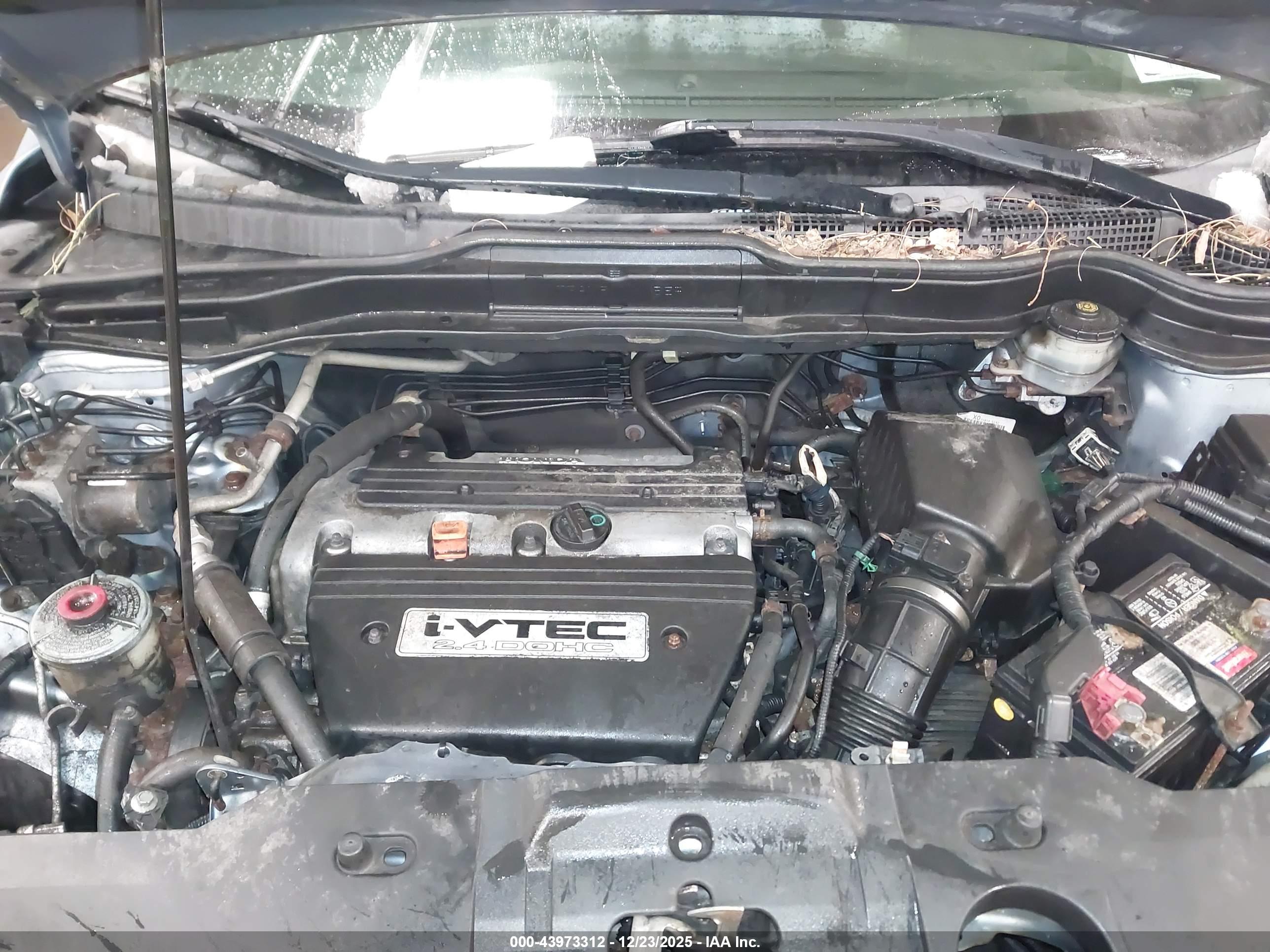 HONDA CR-V image 10