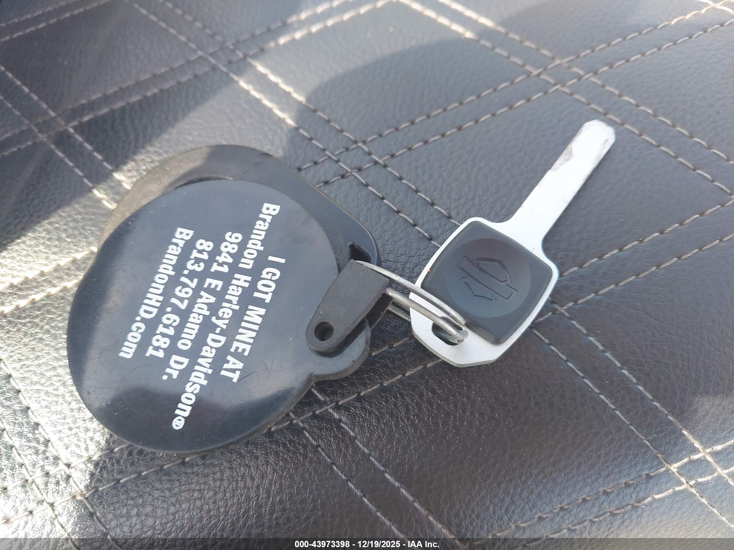 HARLEY-DAVIDSON FLSB image 11