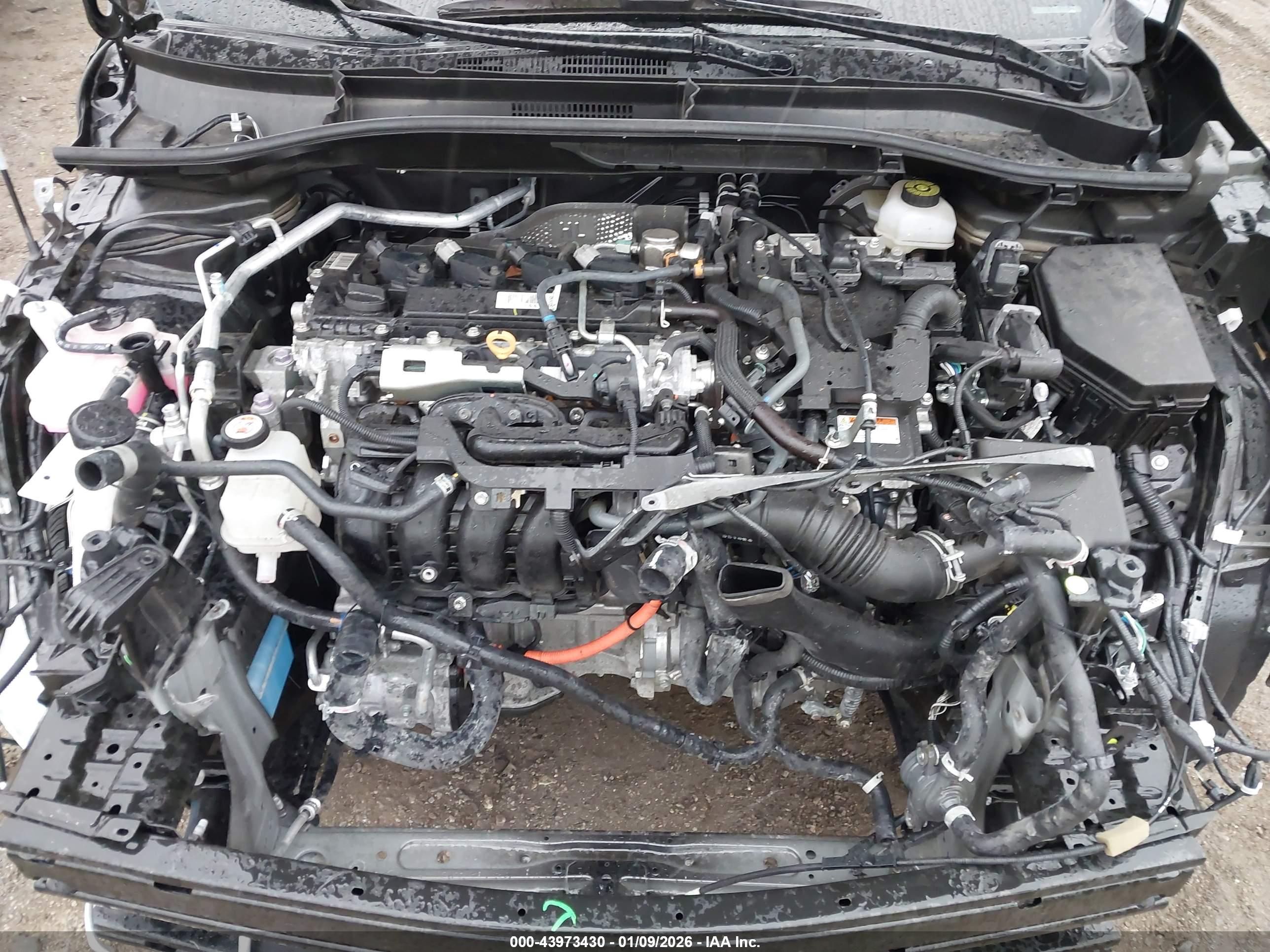 TOYOTA COROLLA image 10