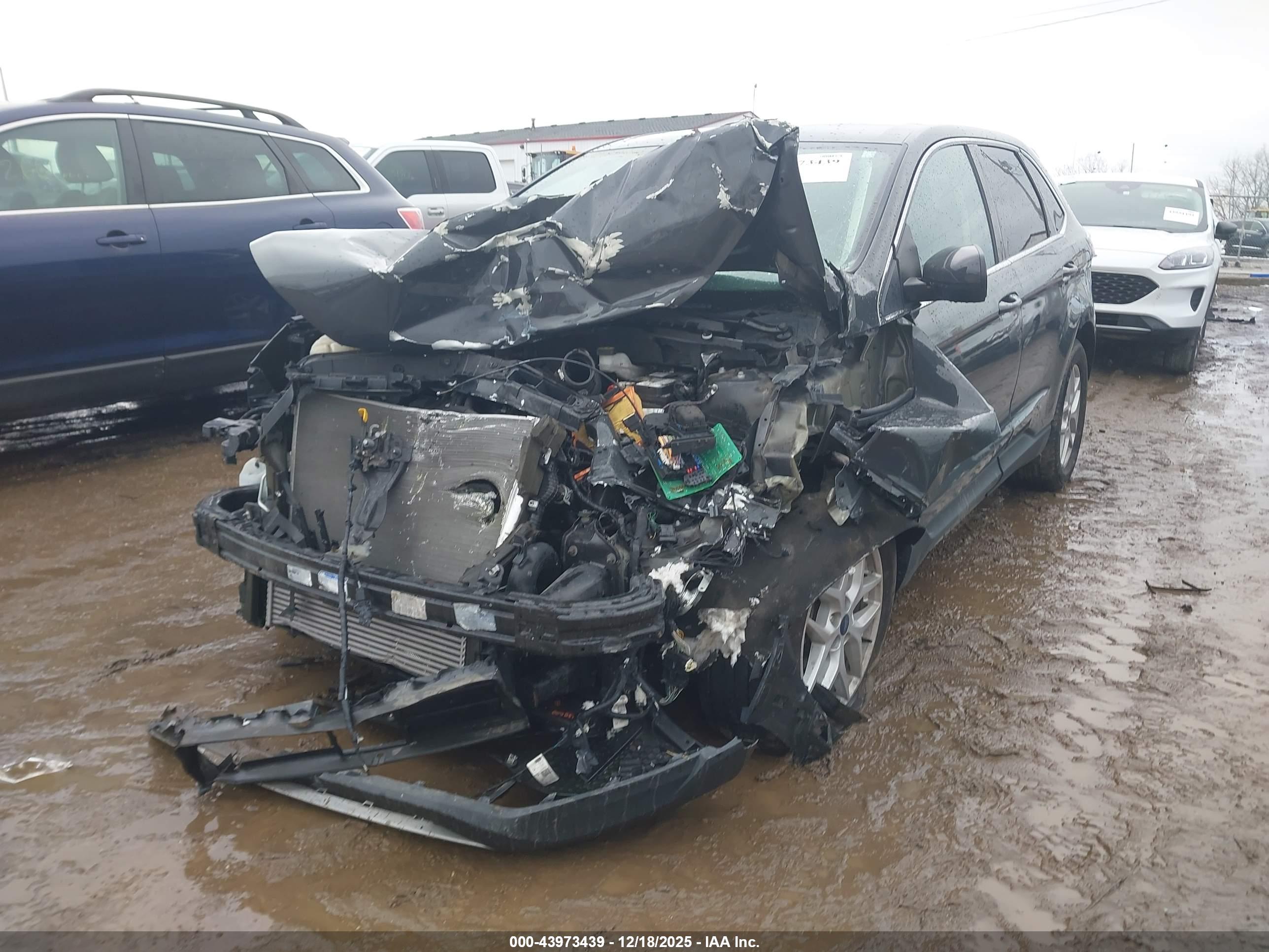 FORD EDGE image 2