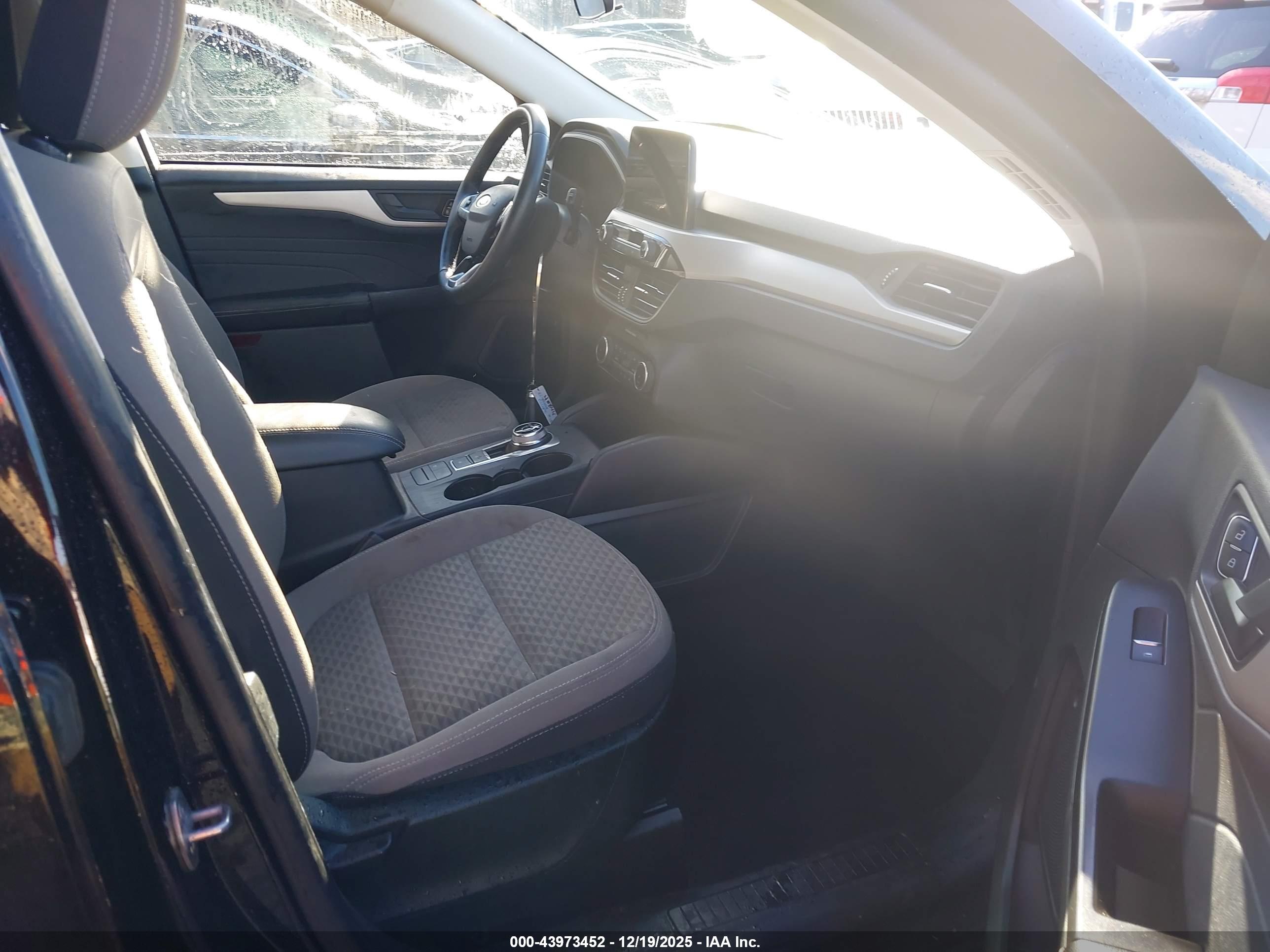 FORD ESCAPE image 5