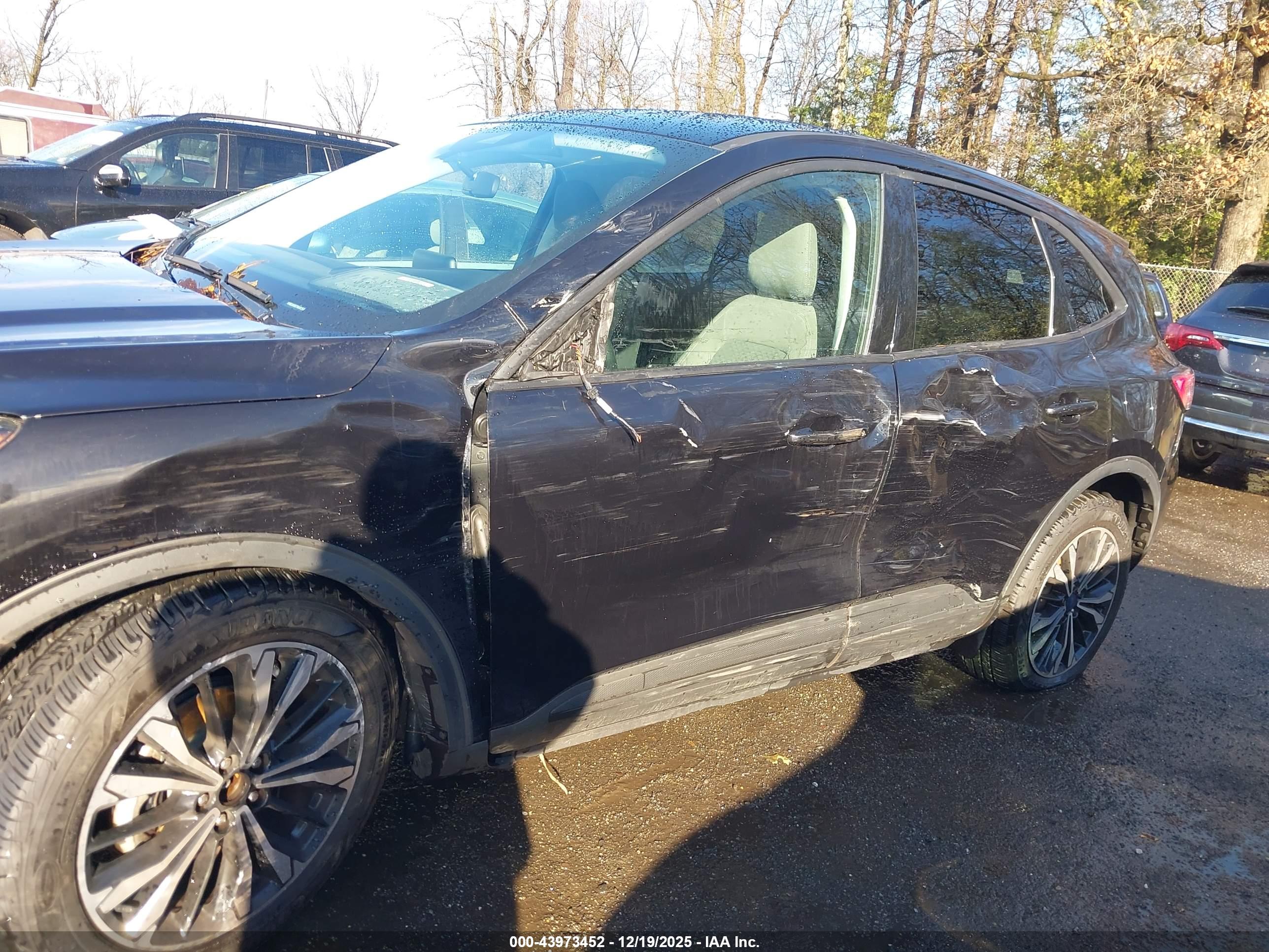 FORD ESCAPE image 6
