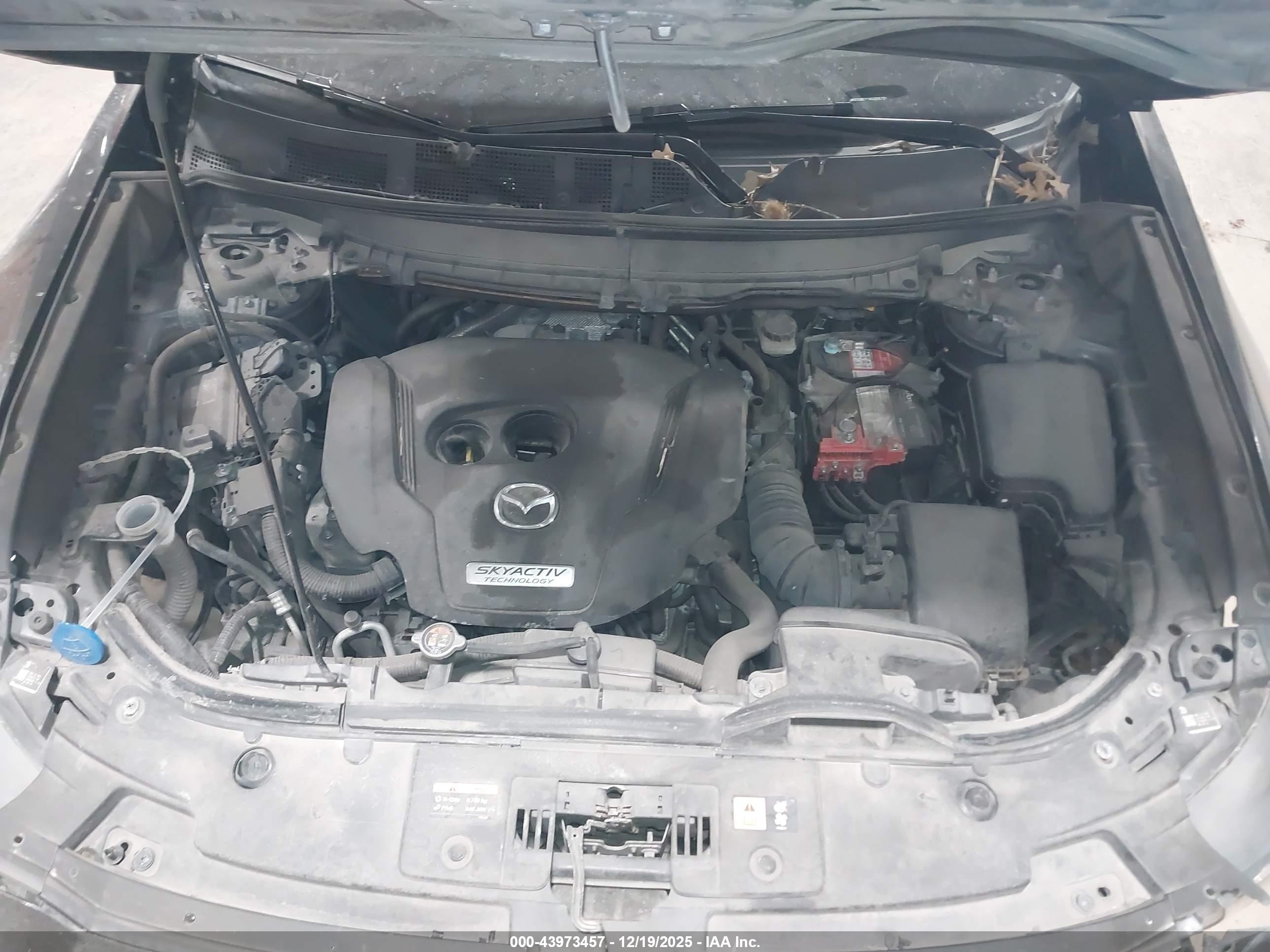 MAZDA CX-9 image 10