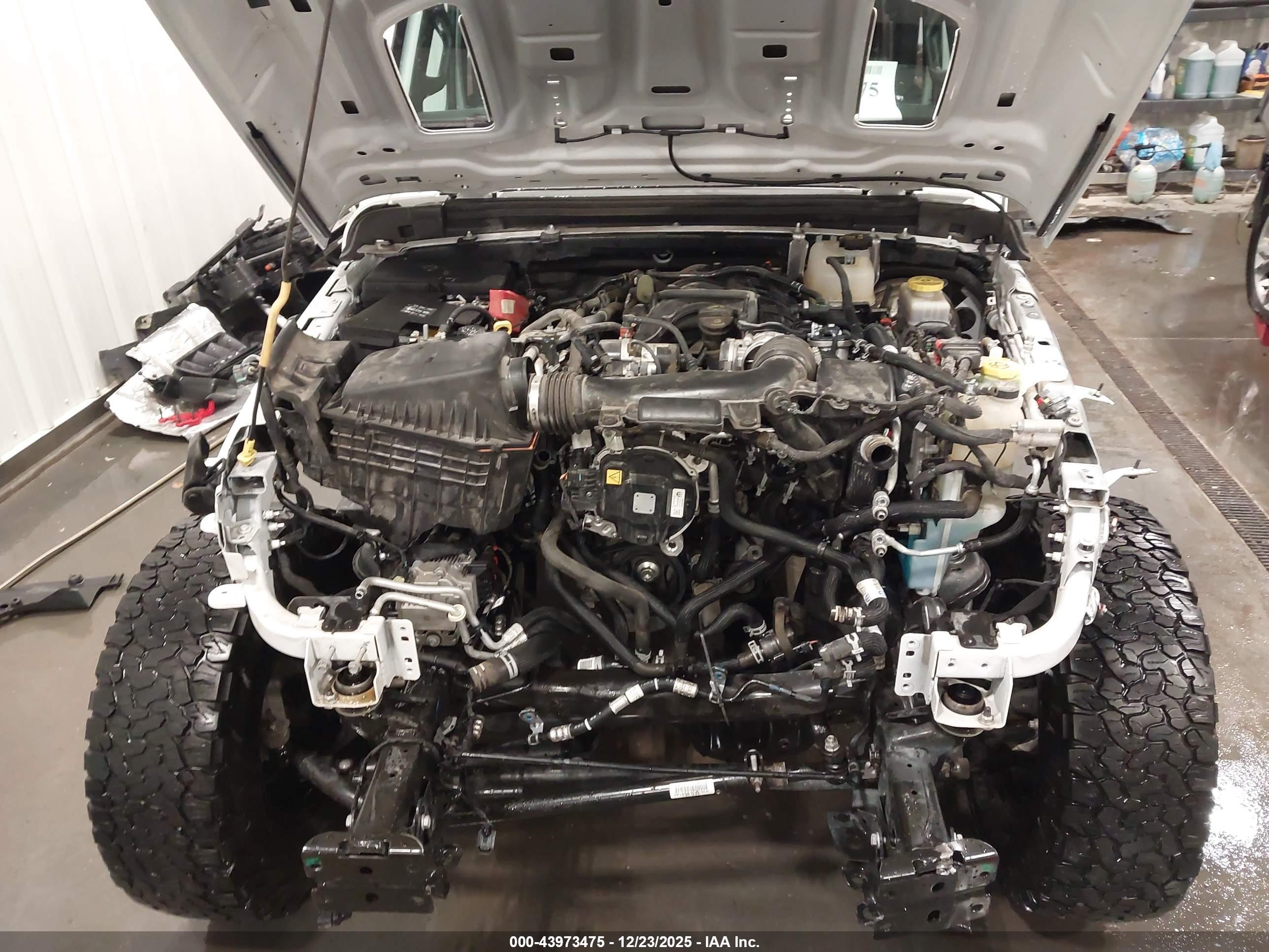JEEP WRANGLER image 10
