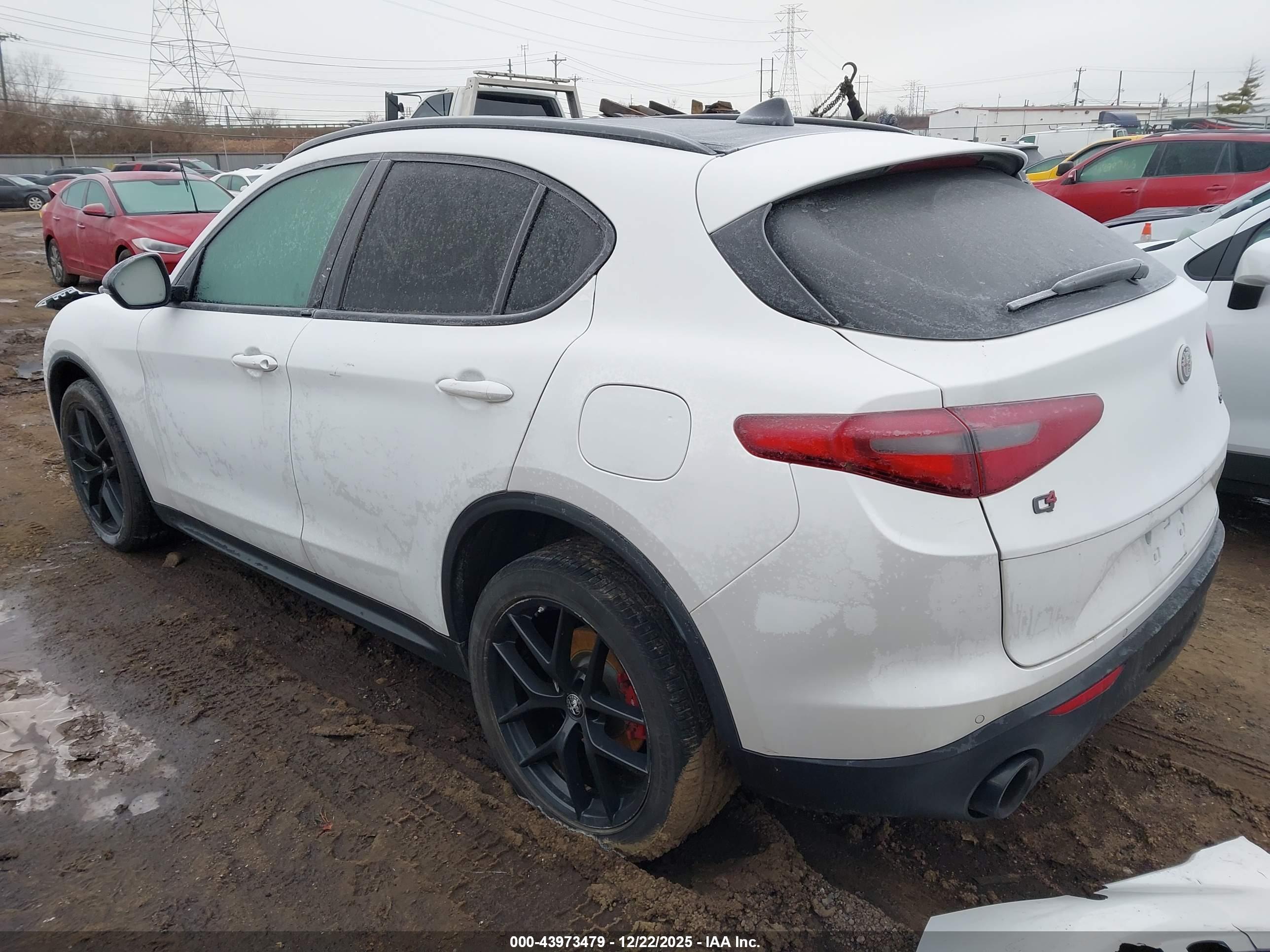 ALFA ROMEO image 3
