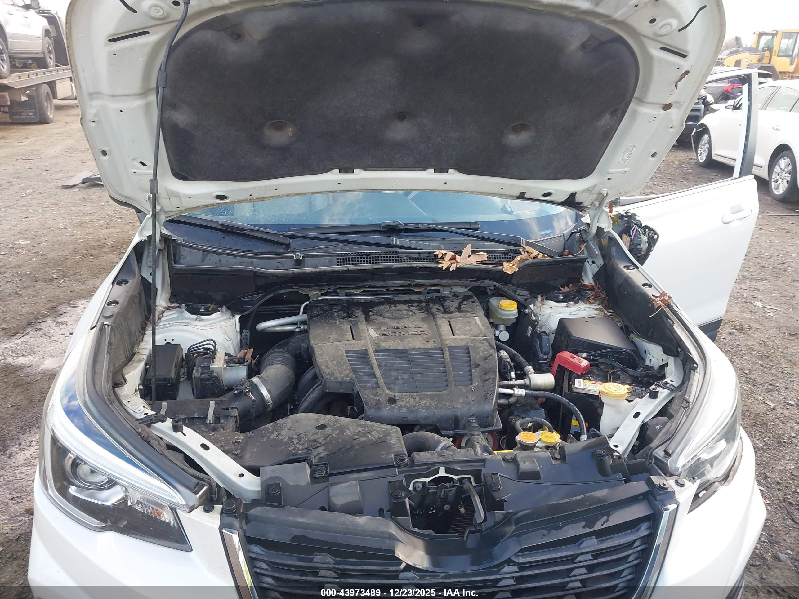 SUBARU FORESTER image 10