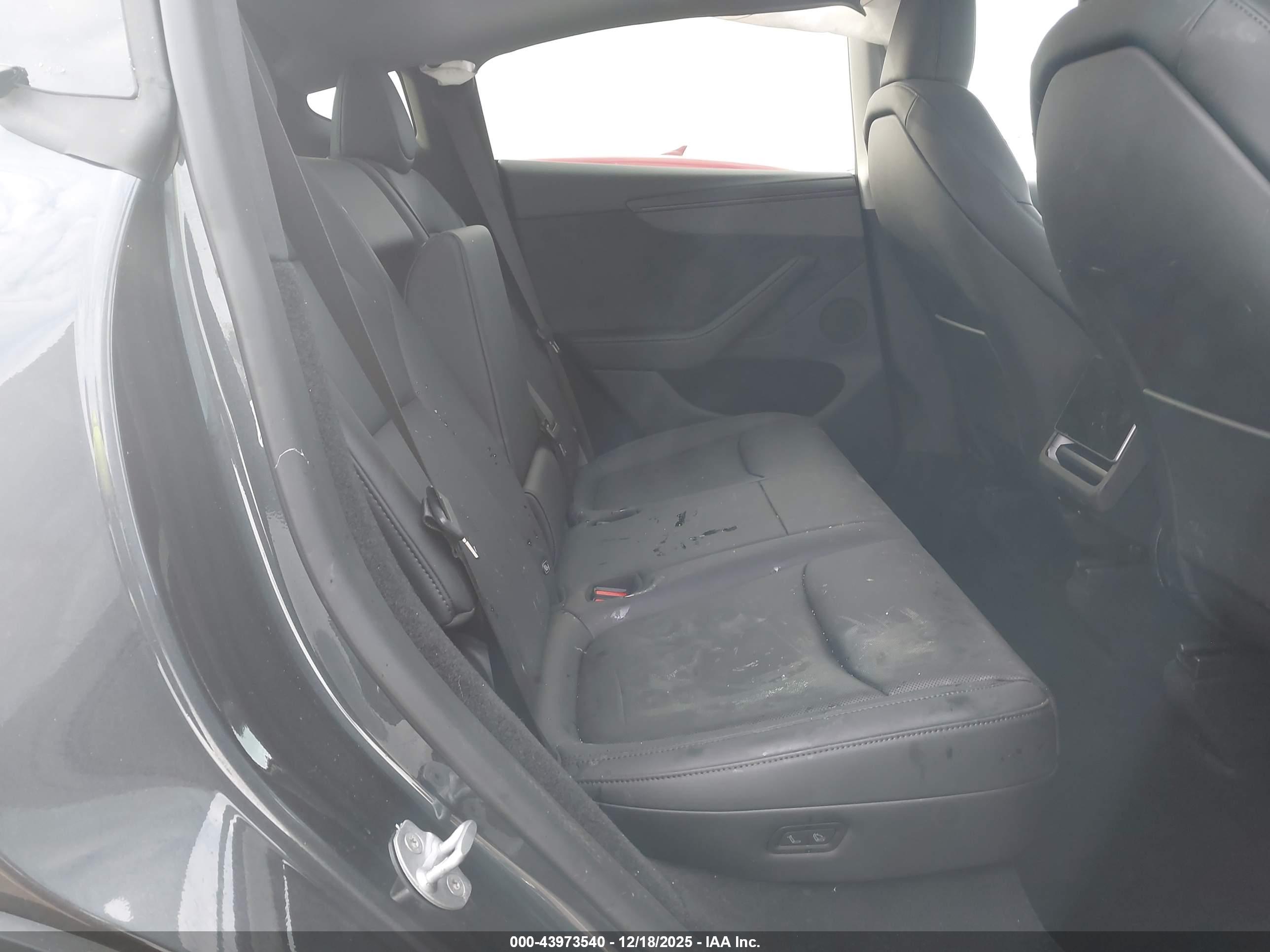TESLA MODEL image 8