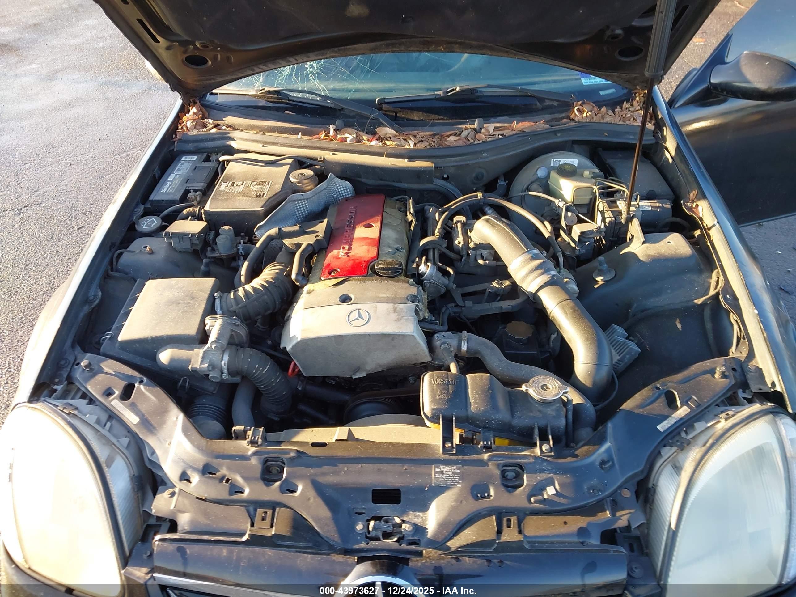 MERCEDES-BENZ SLK image 10