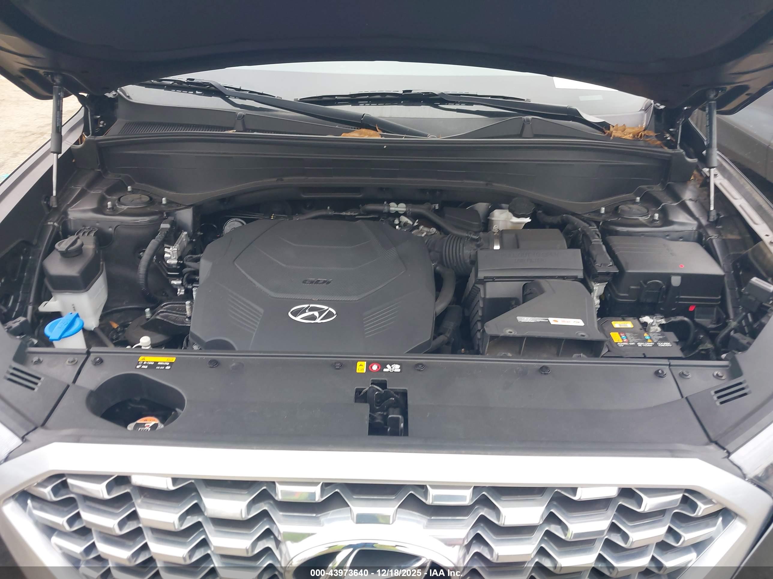 HYUNDAI PALISADE image 10