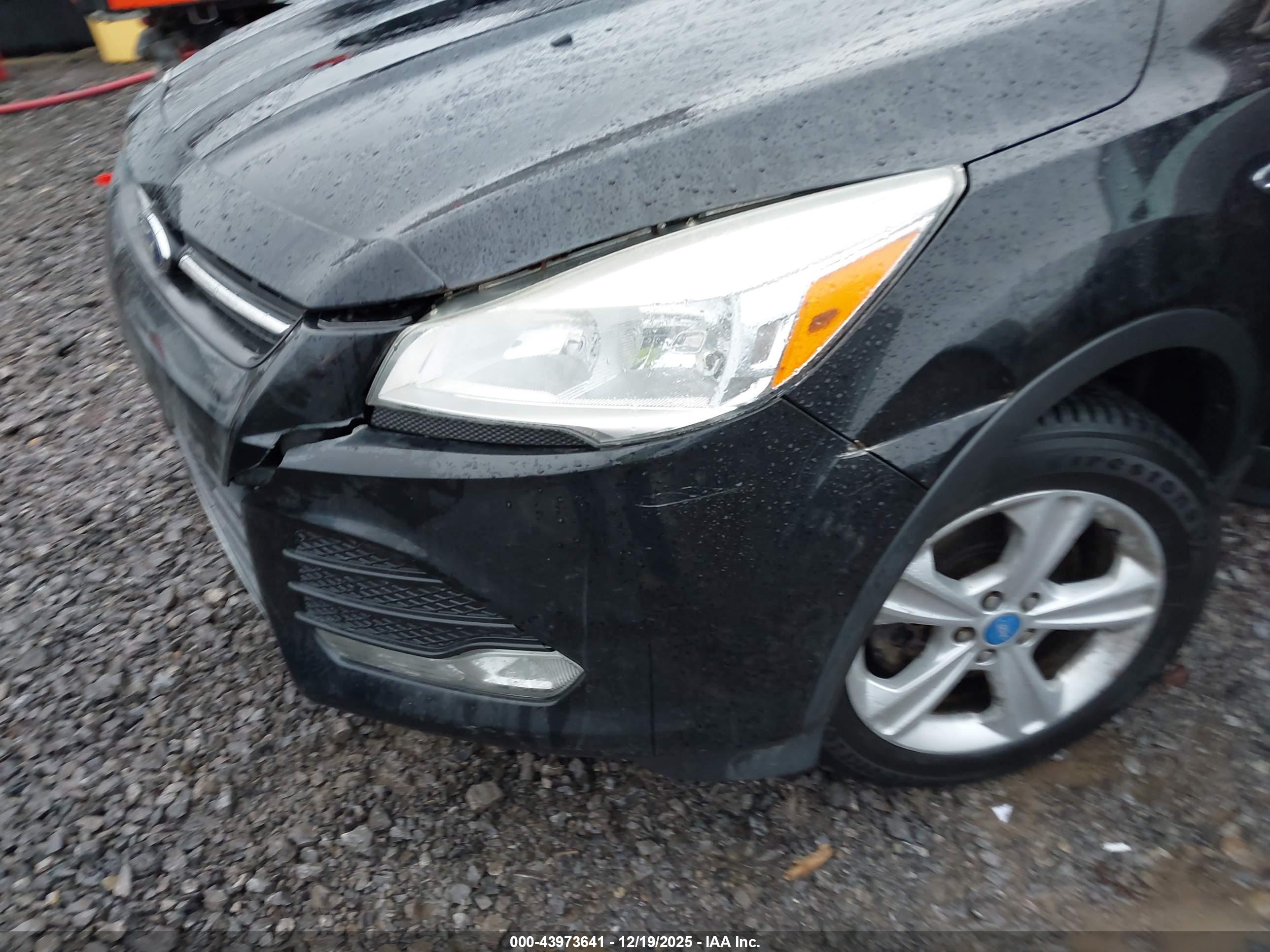 FORD ESCAPE image 6
