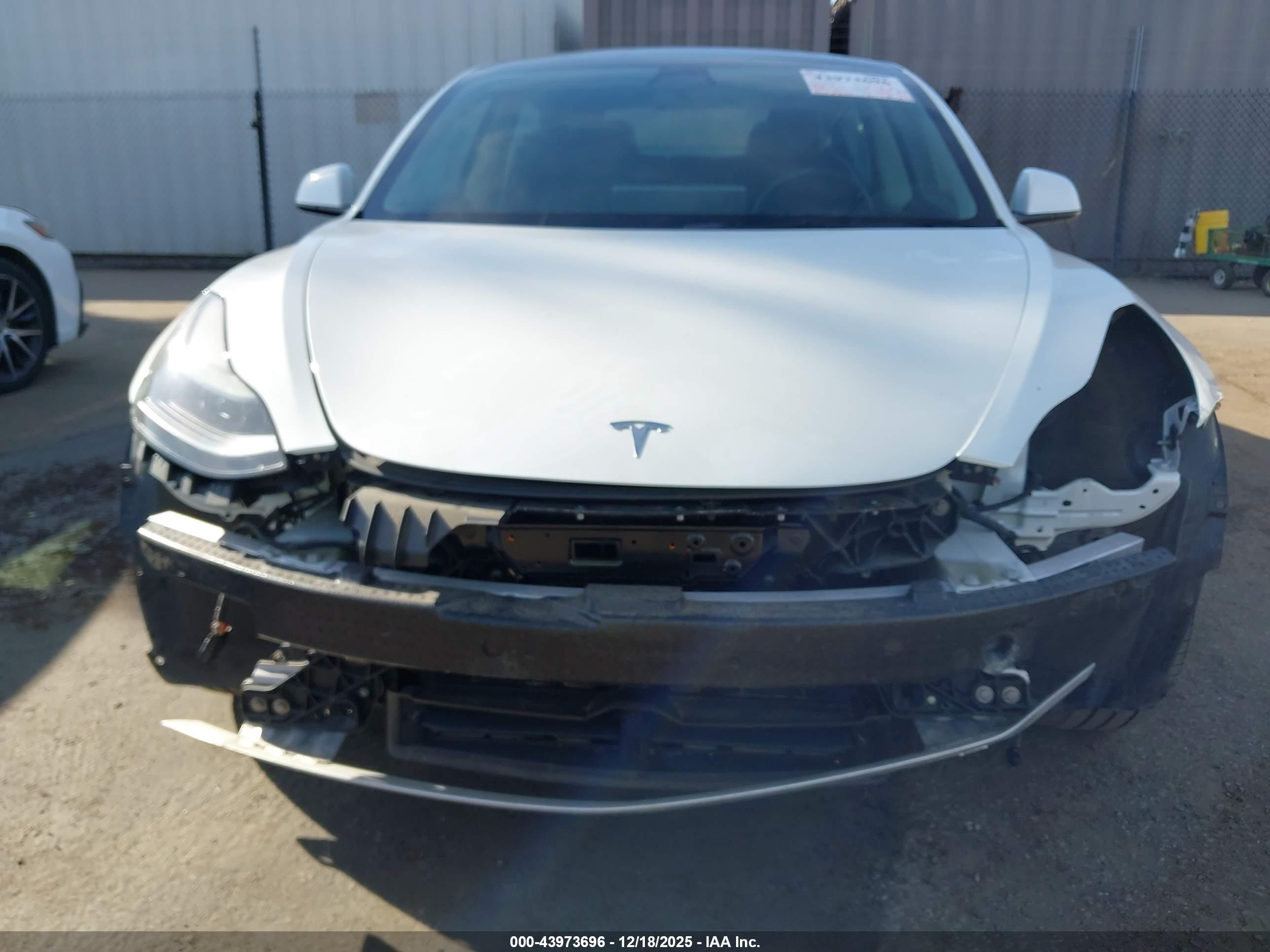 TESLA MODEL image 6