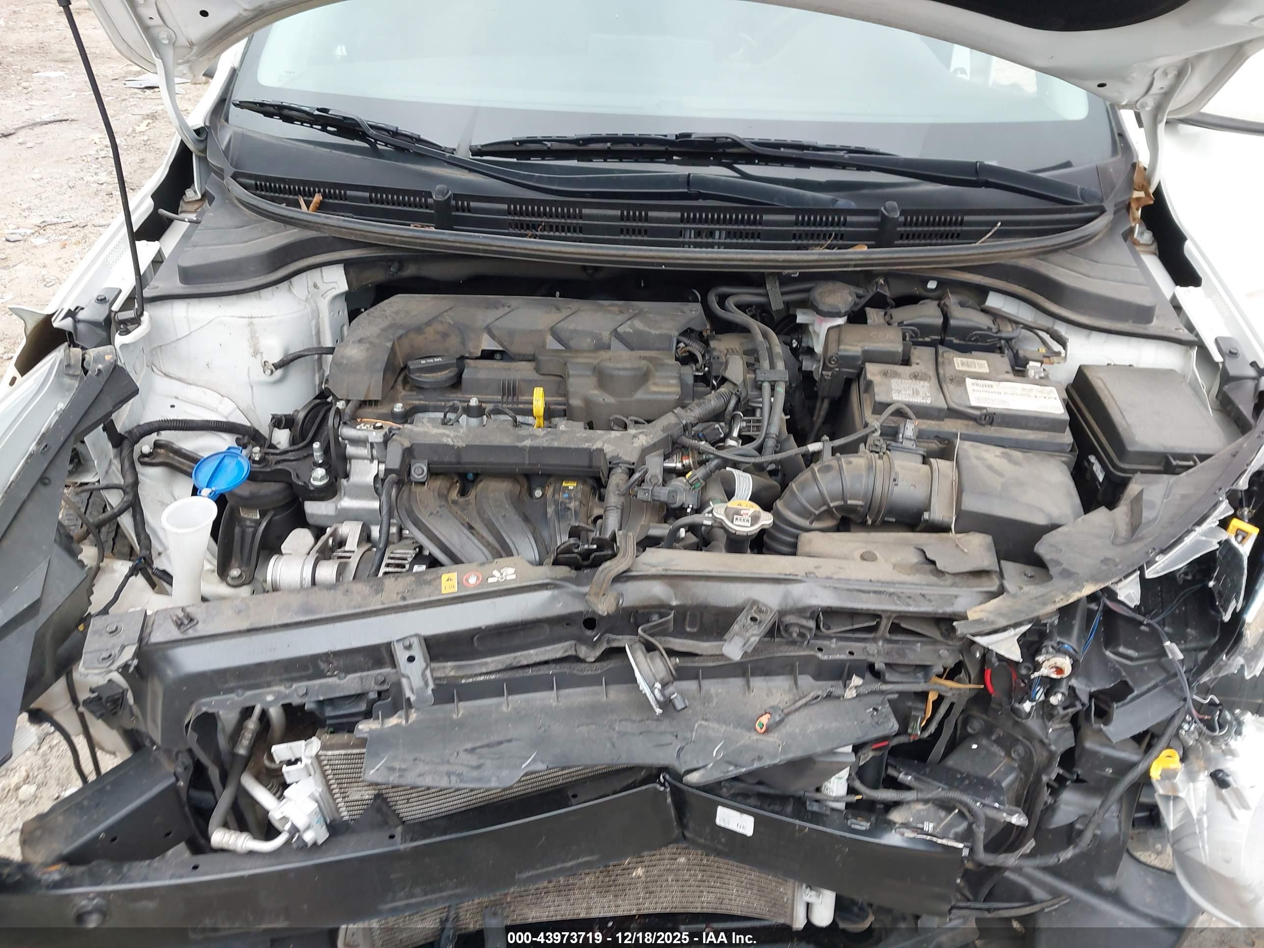 KIA RIO image 10