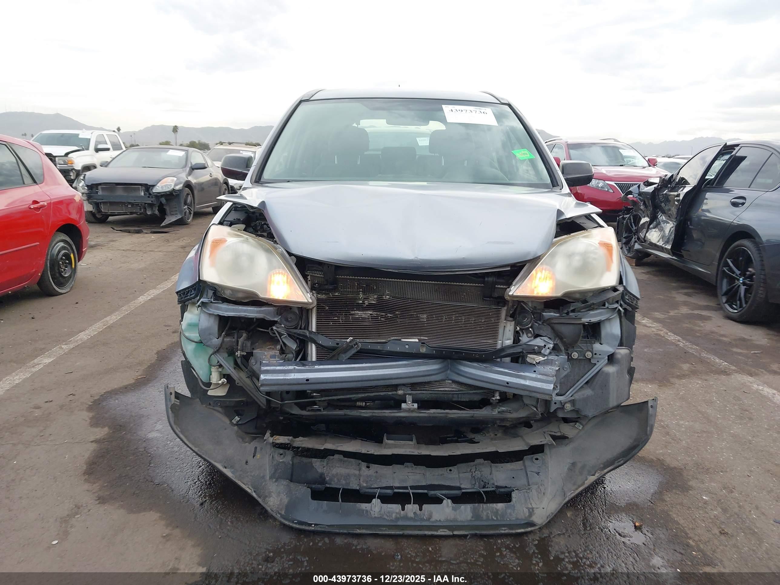 HONDA CR-V image 6