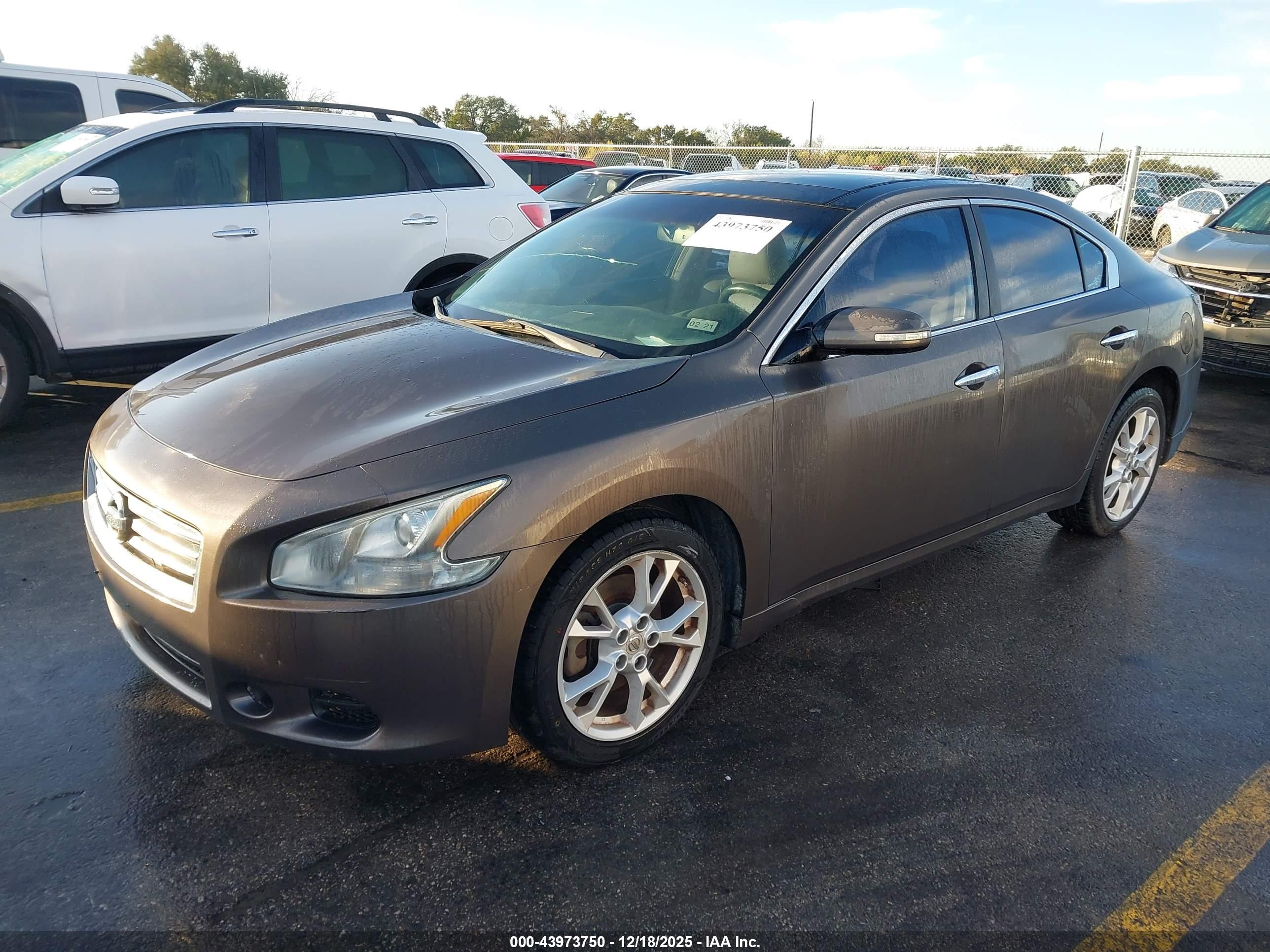 NISSAN MAXIMA image 2