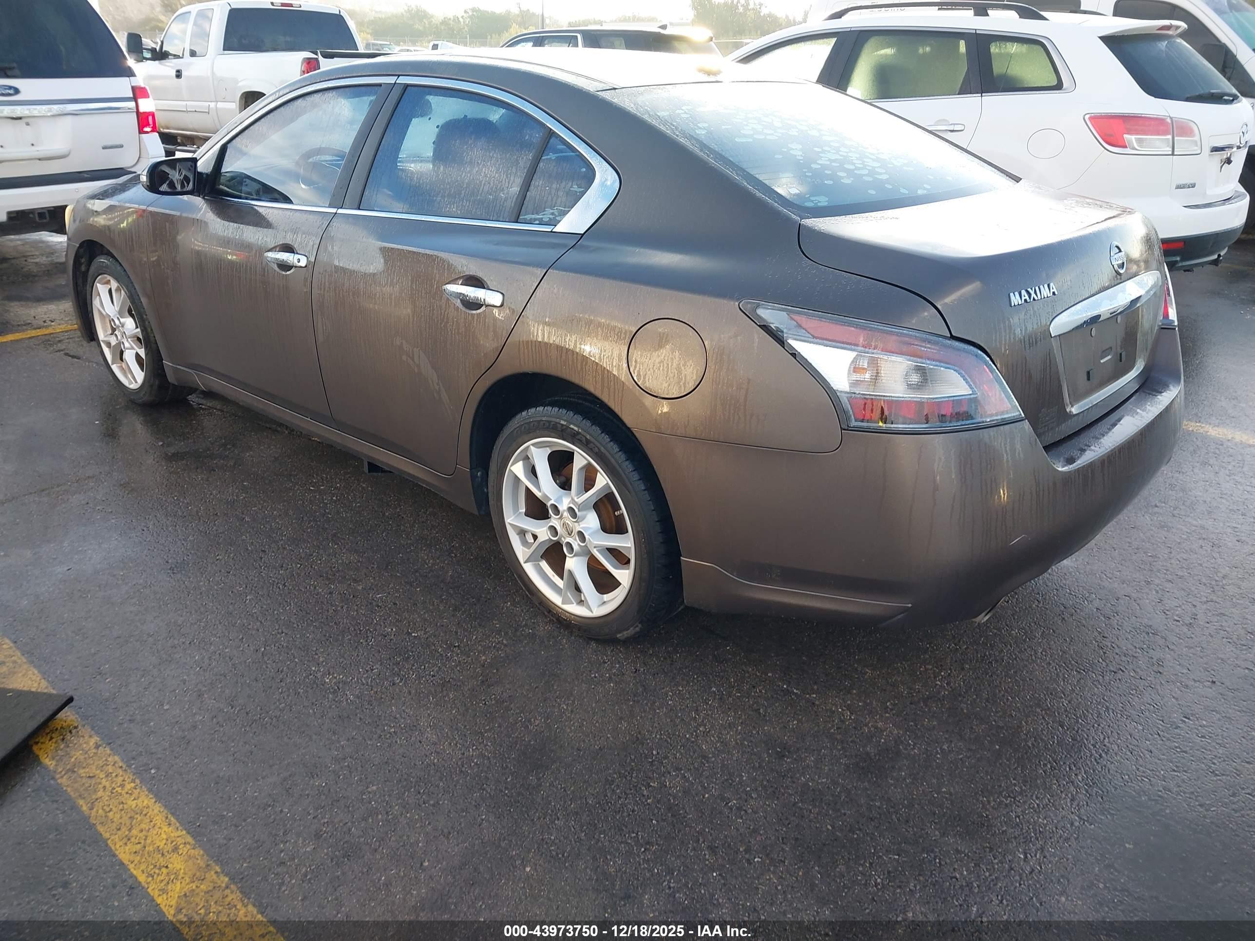NISSAN MAXIMA image 3