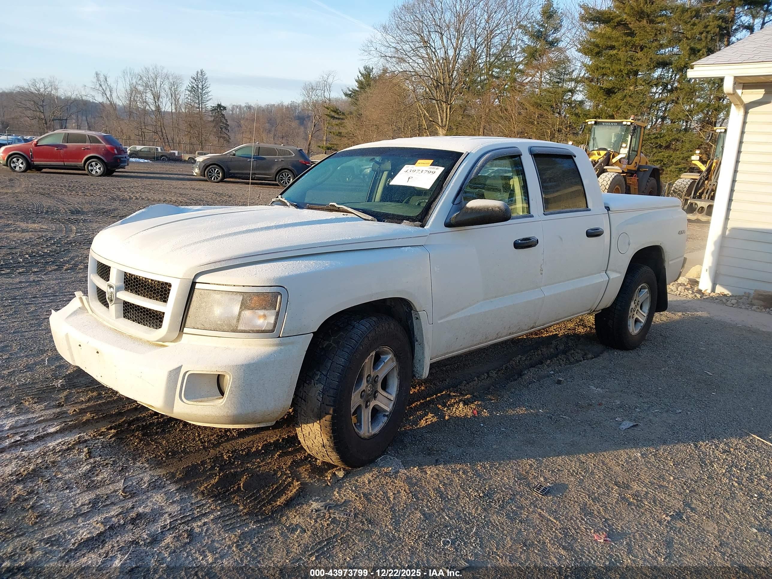 DODGE DAKOTA image 2