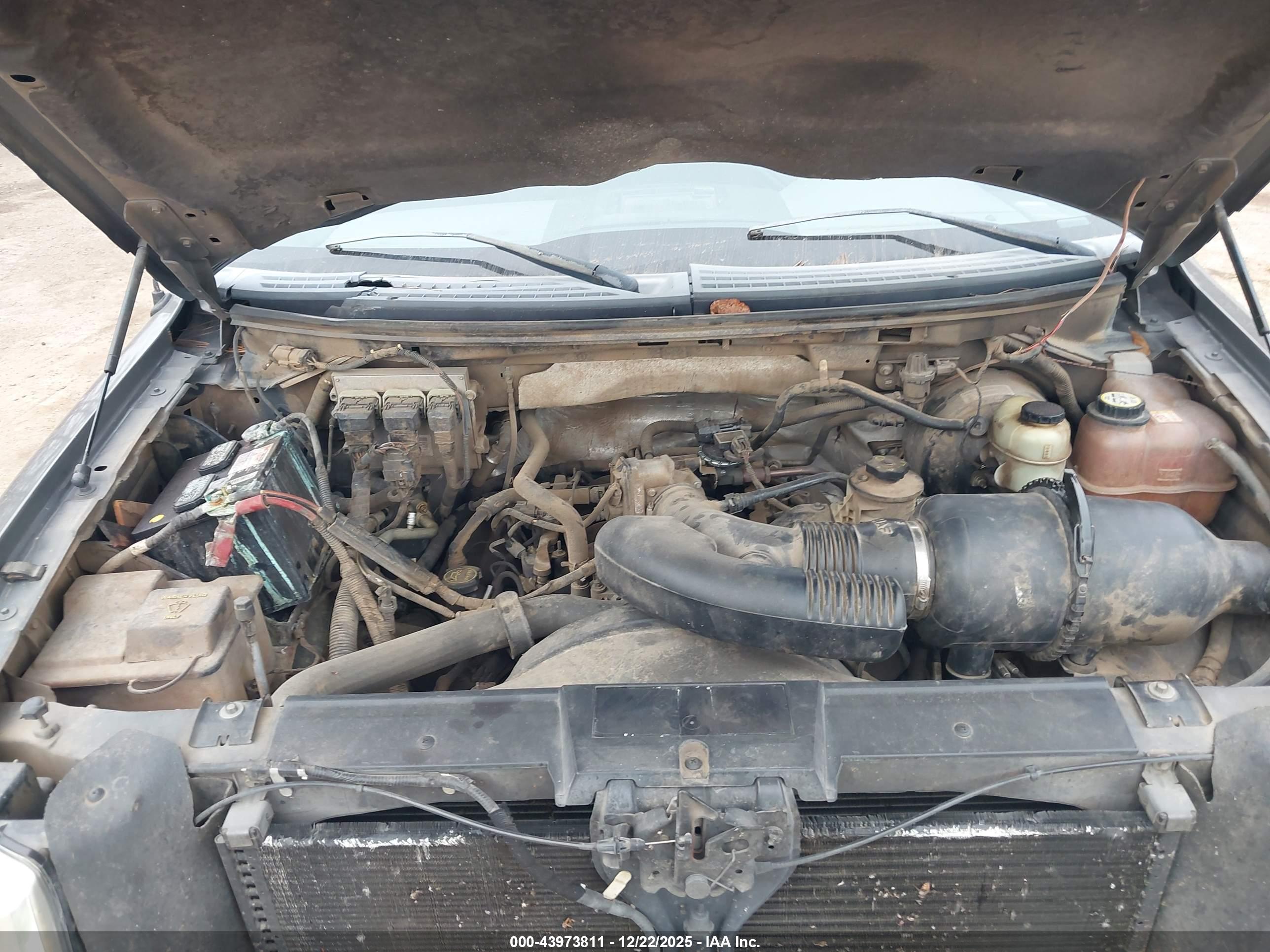 FORD F-150 image 10
