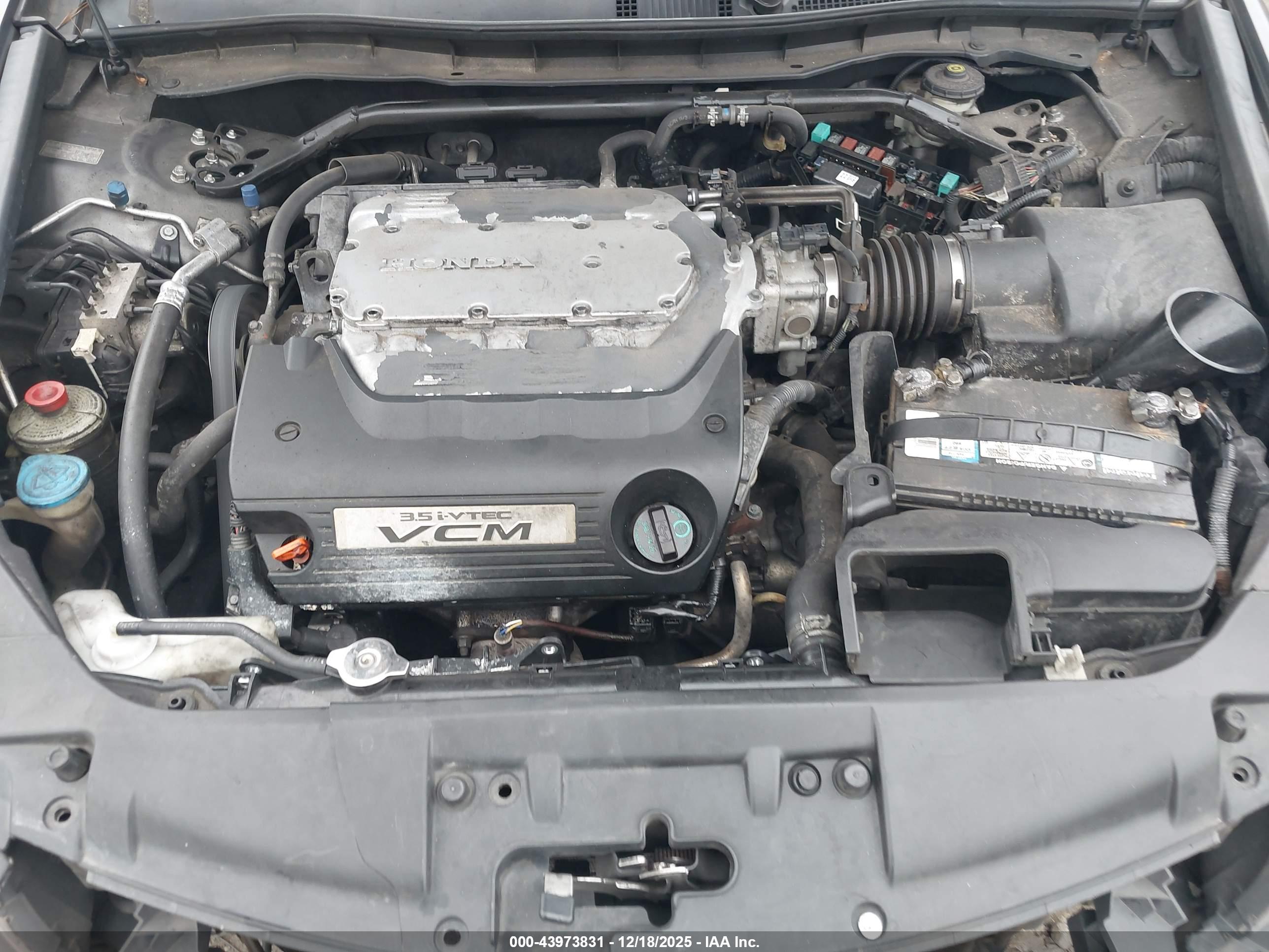 HONDA ACCORD image 10
