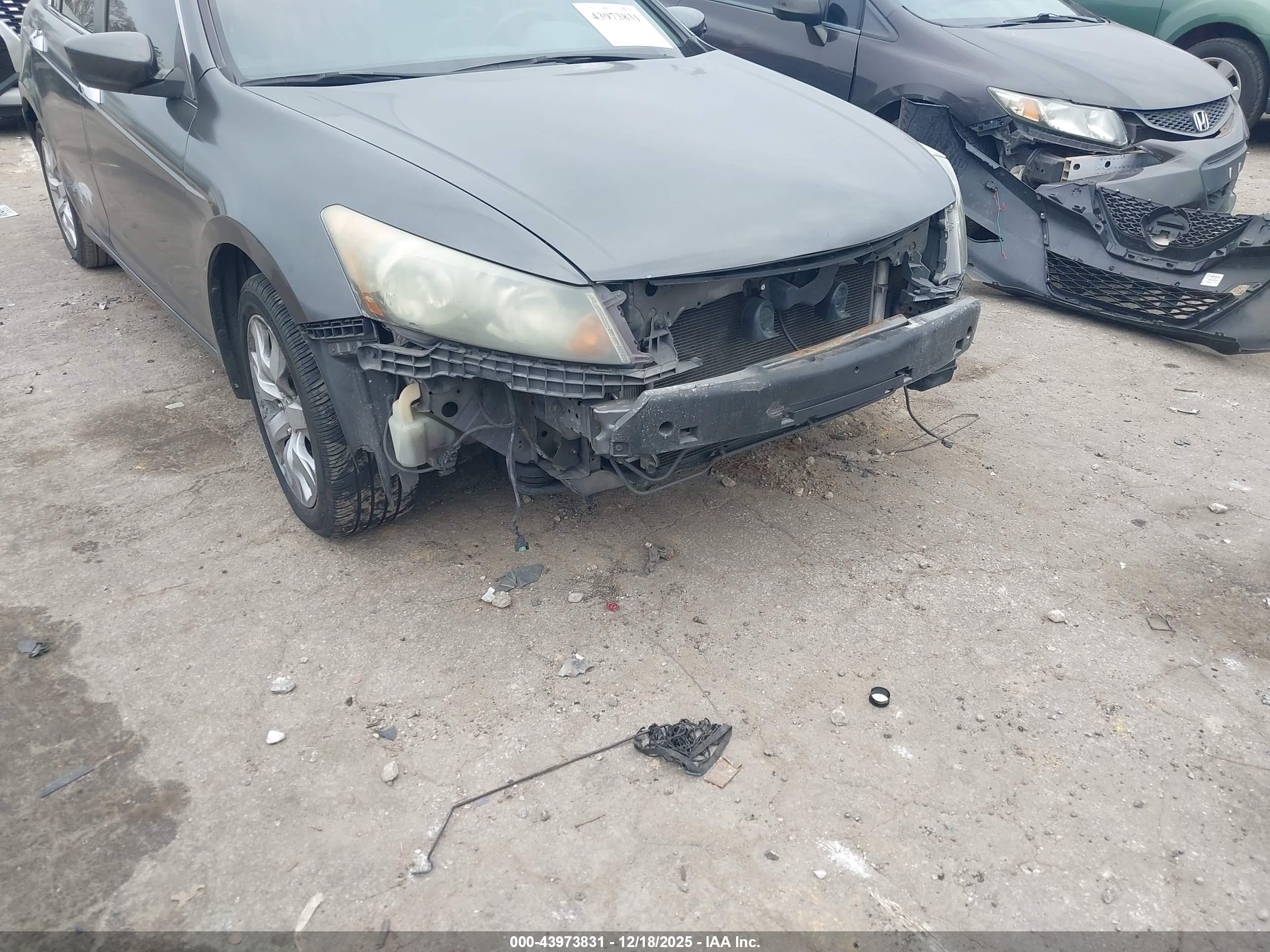 HONDA ACCORD image 6