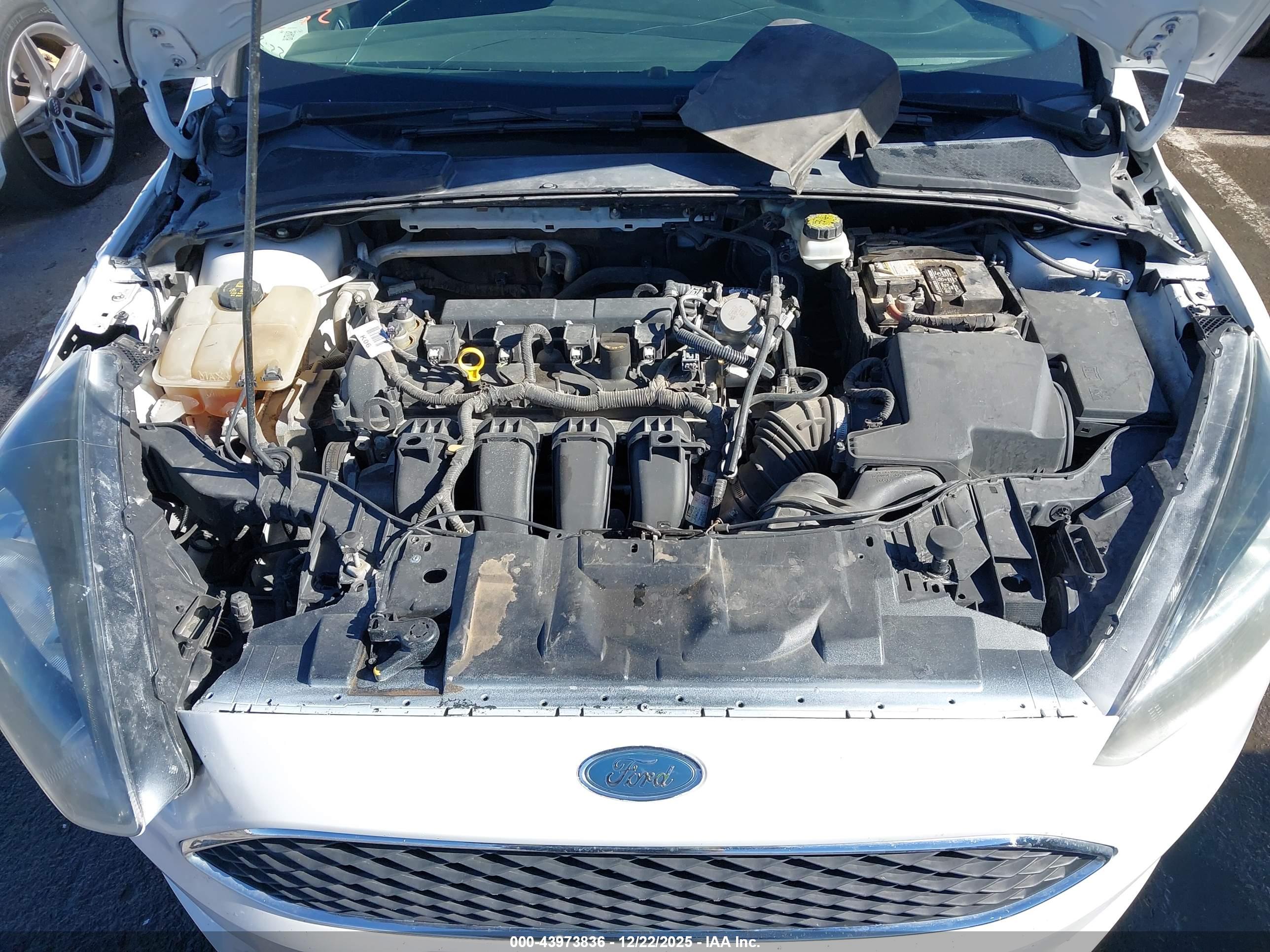FORD FOCUS image 10
