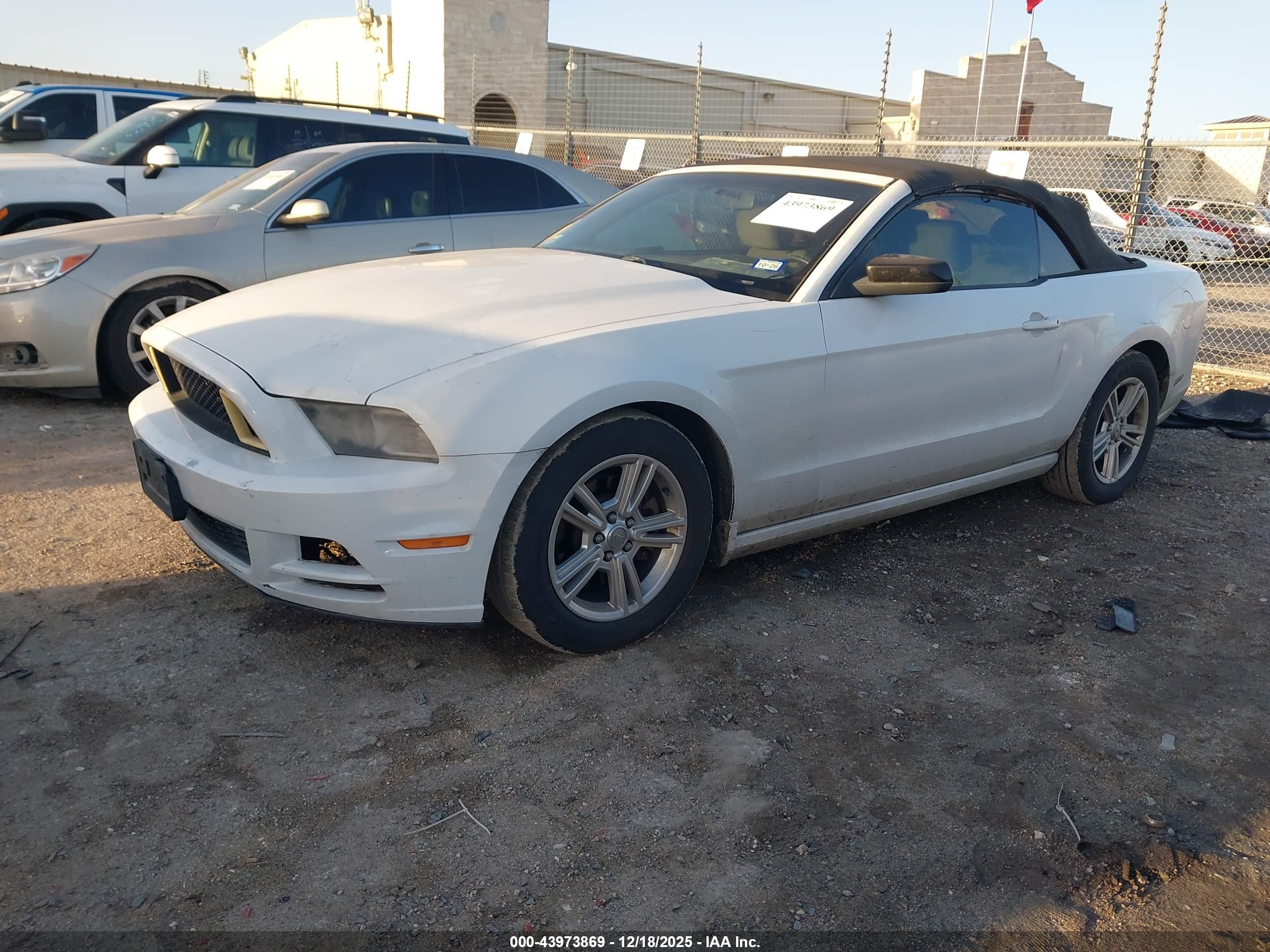 FORD MUSTANG image 2