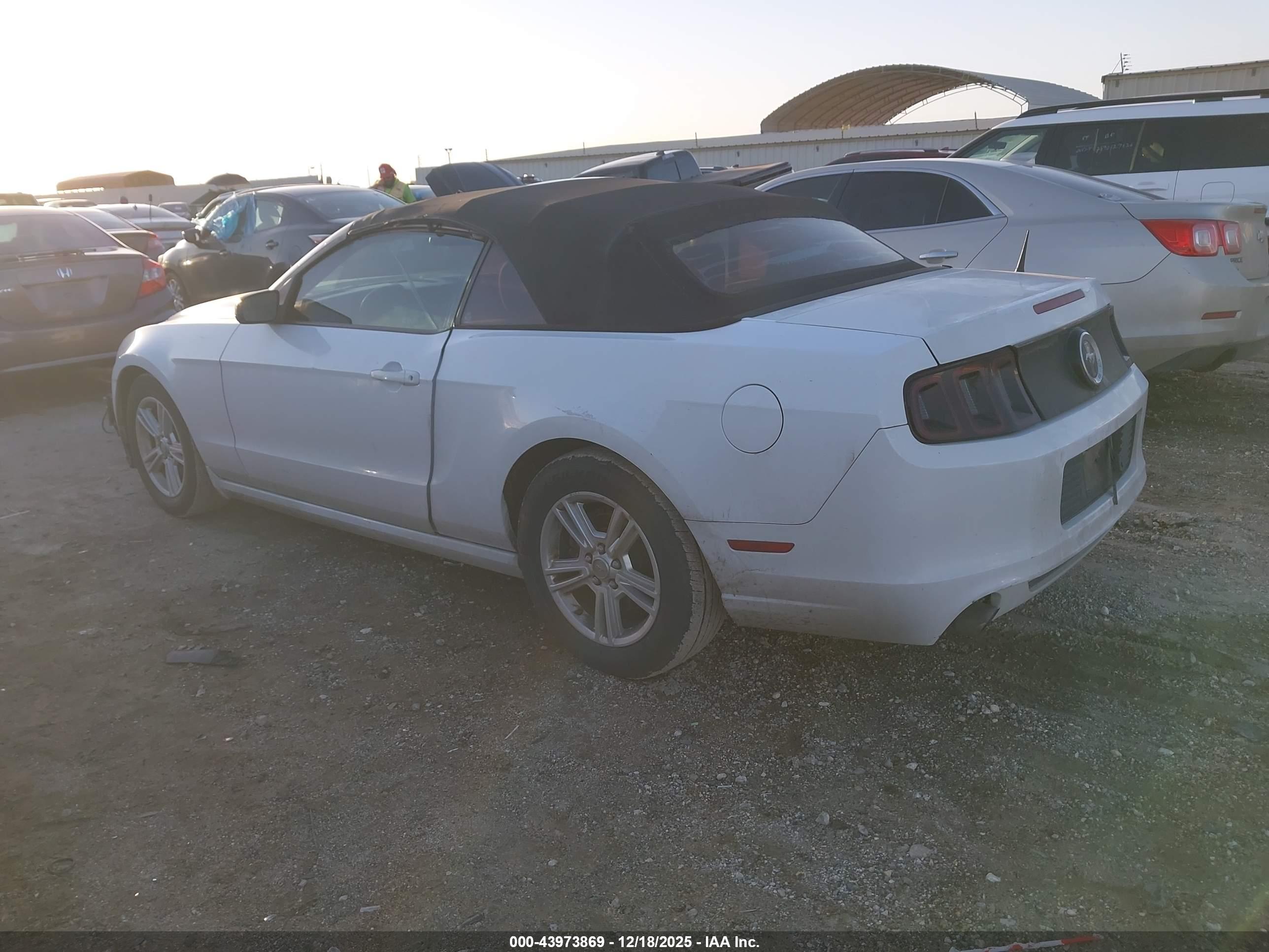 FORD MUSTANG image 3