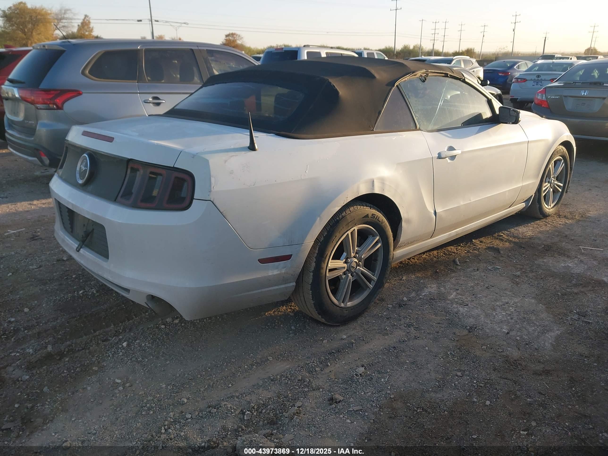 FORD MUSTANG image 4