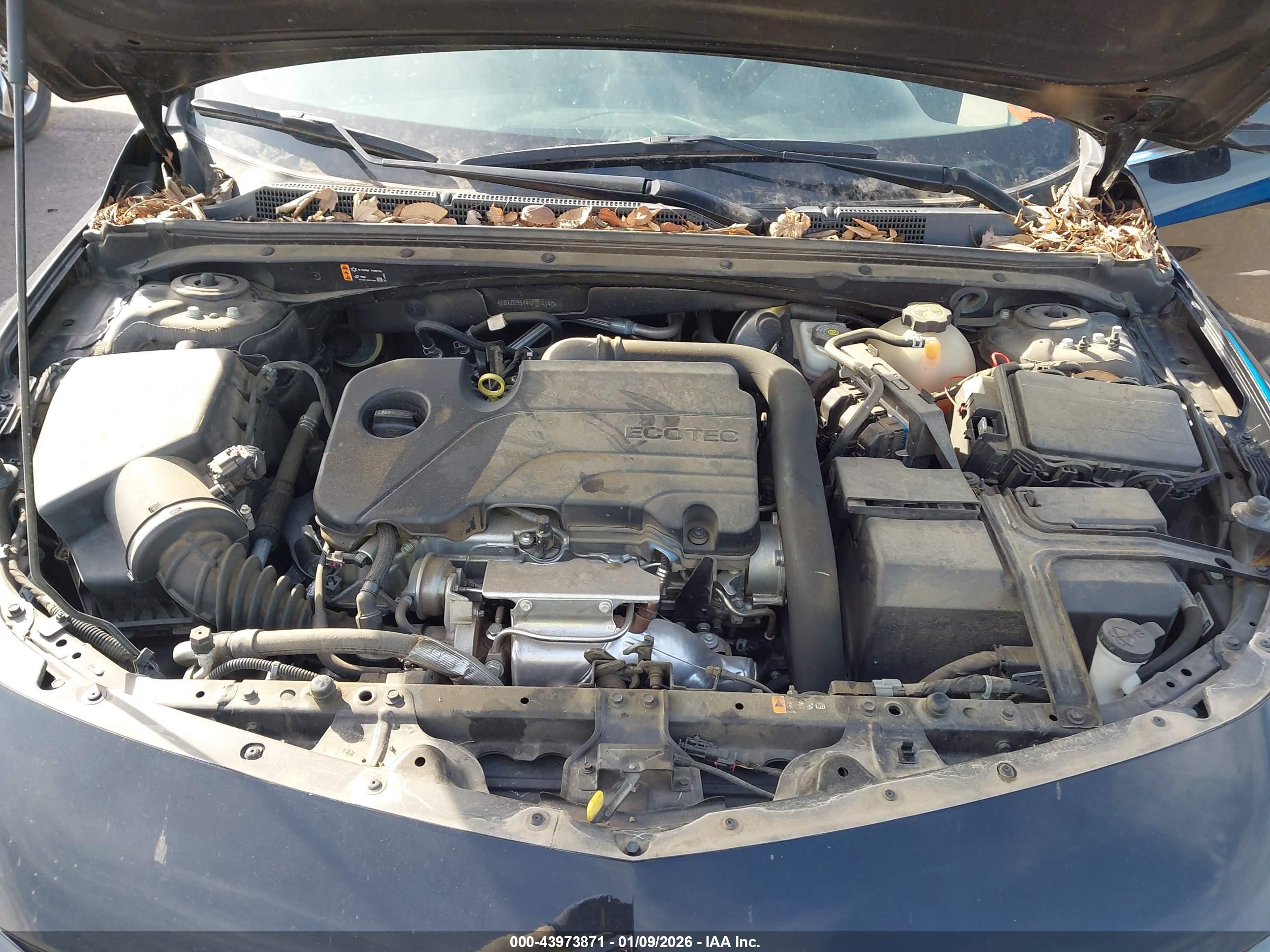 CHEVROLET MALIBU image 10