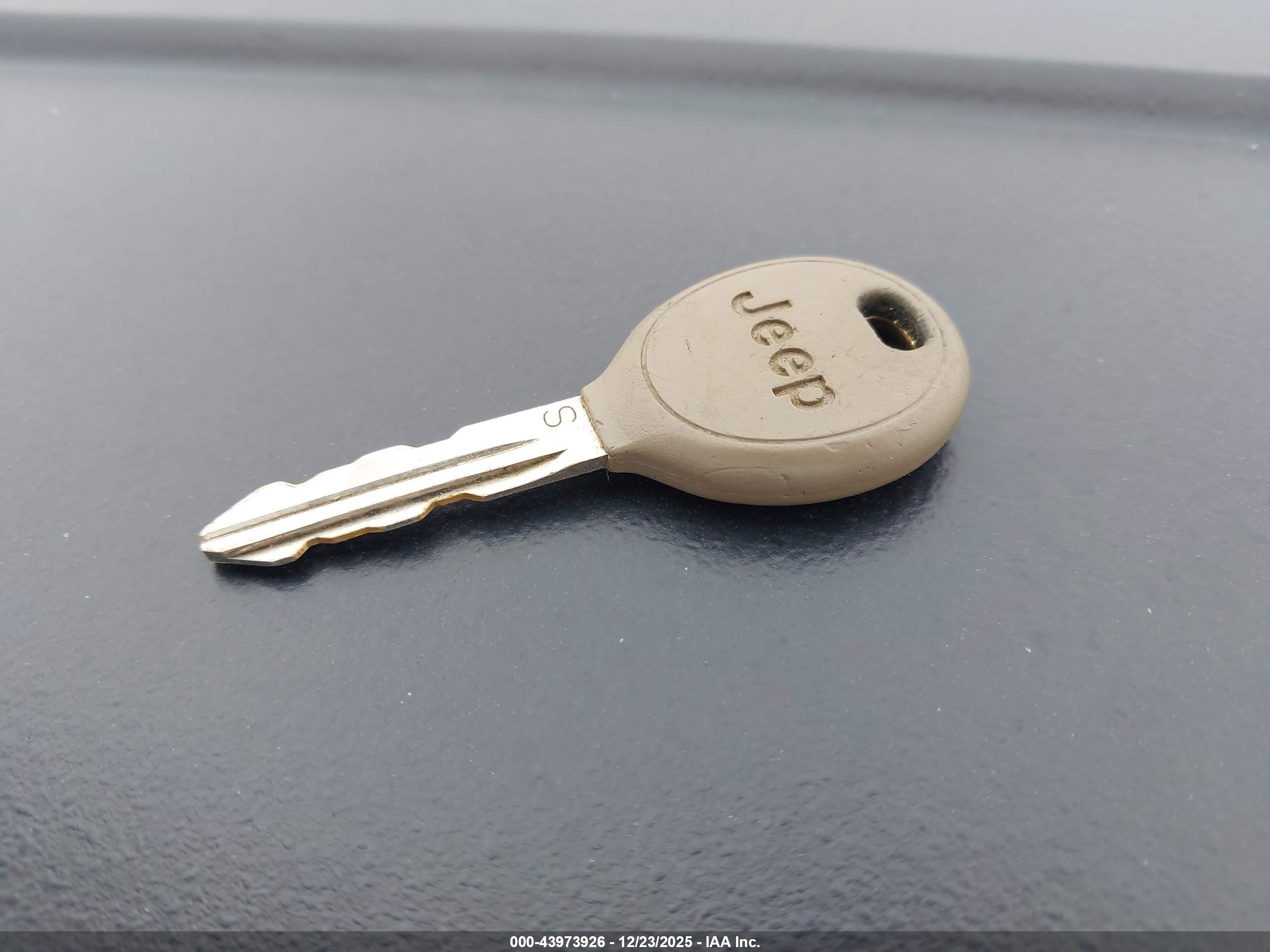 JEEP WRANGLER image 11