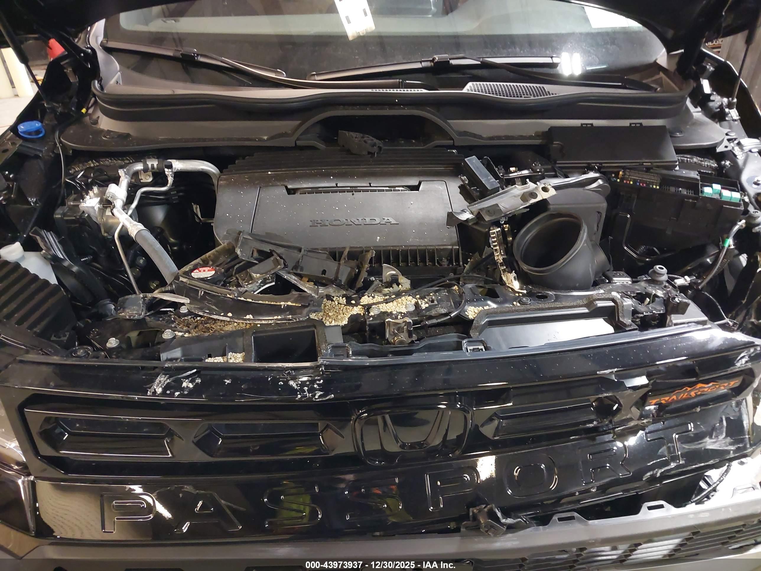 HONDA PASSPORT image 10