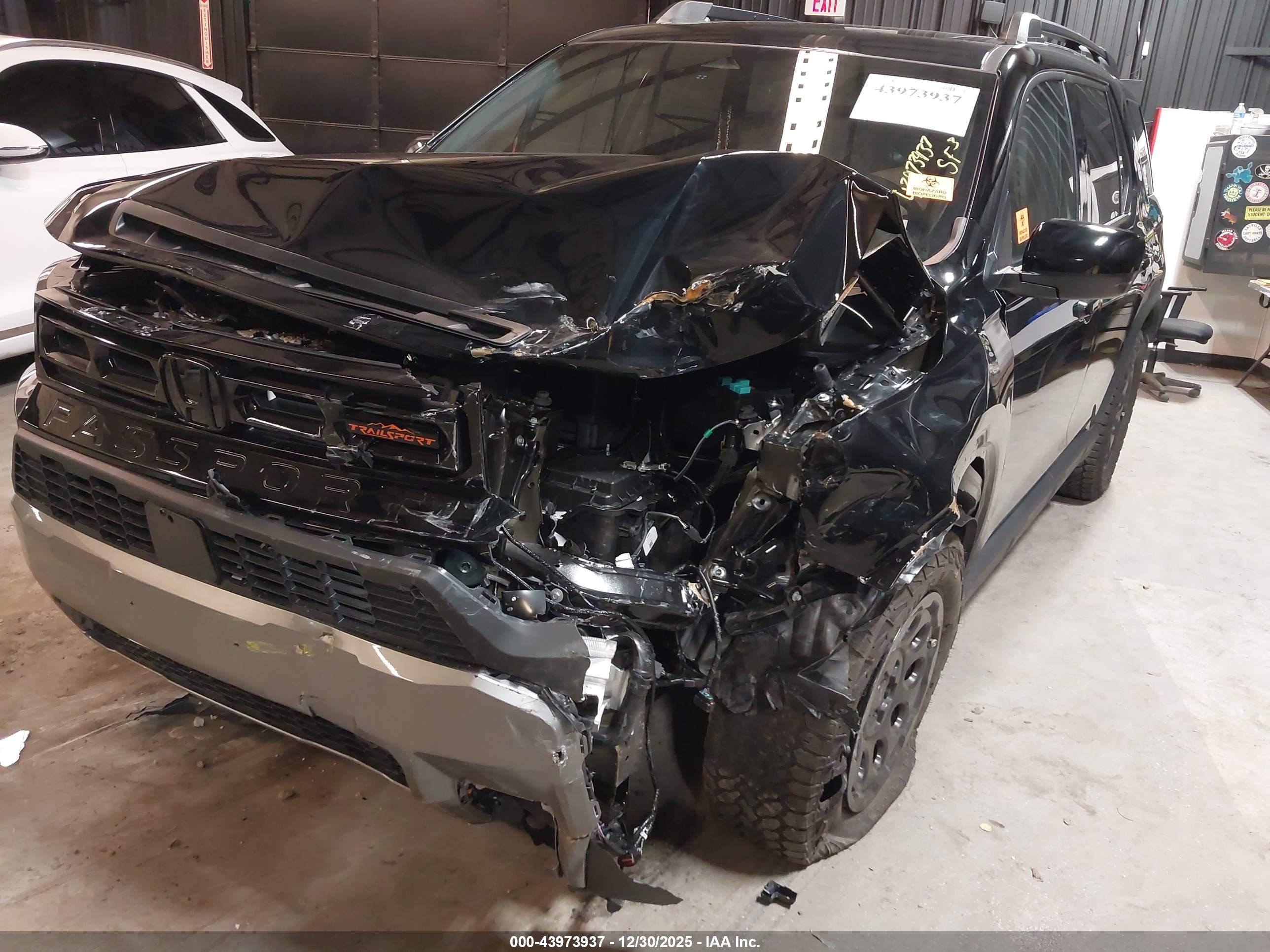 HONDA PASSPORT image 6