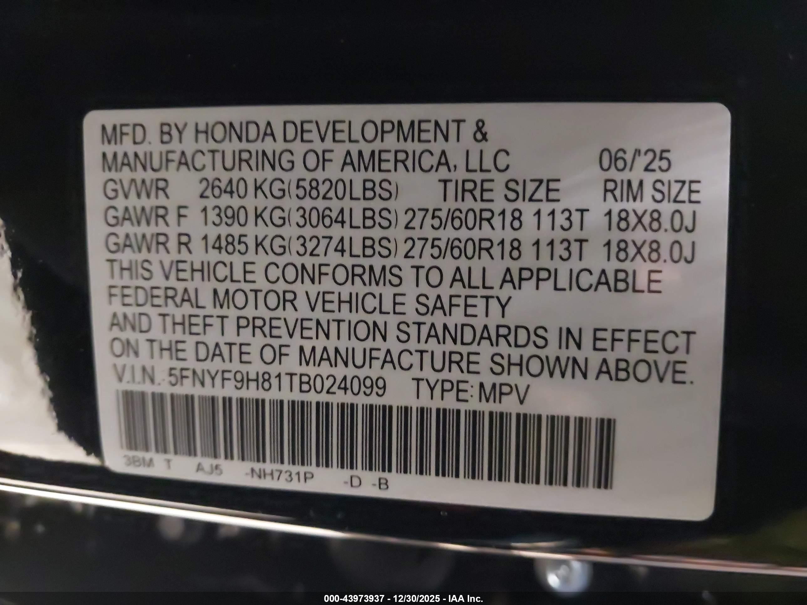 HONDA PASSPORT image 9