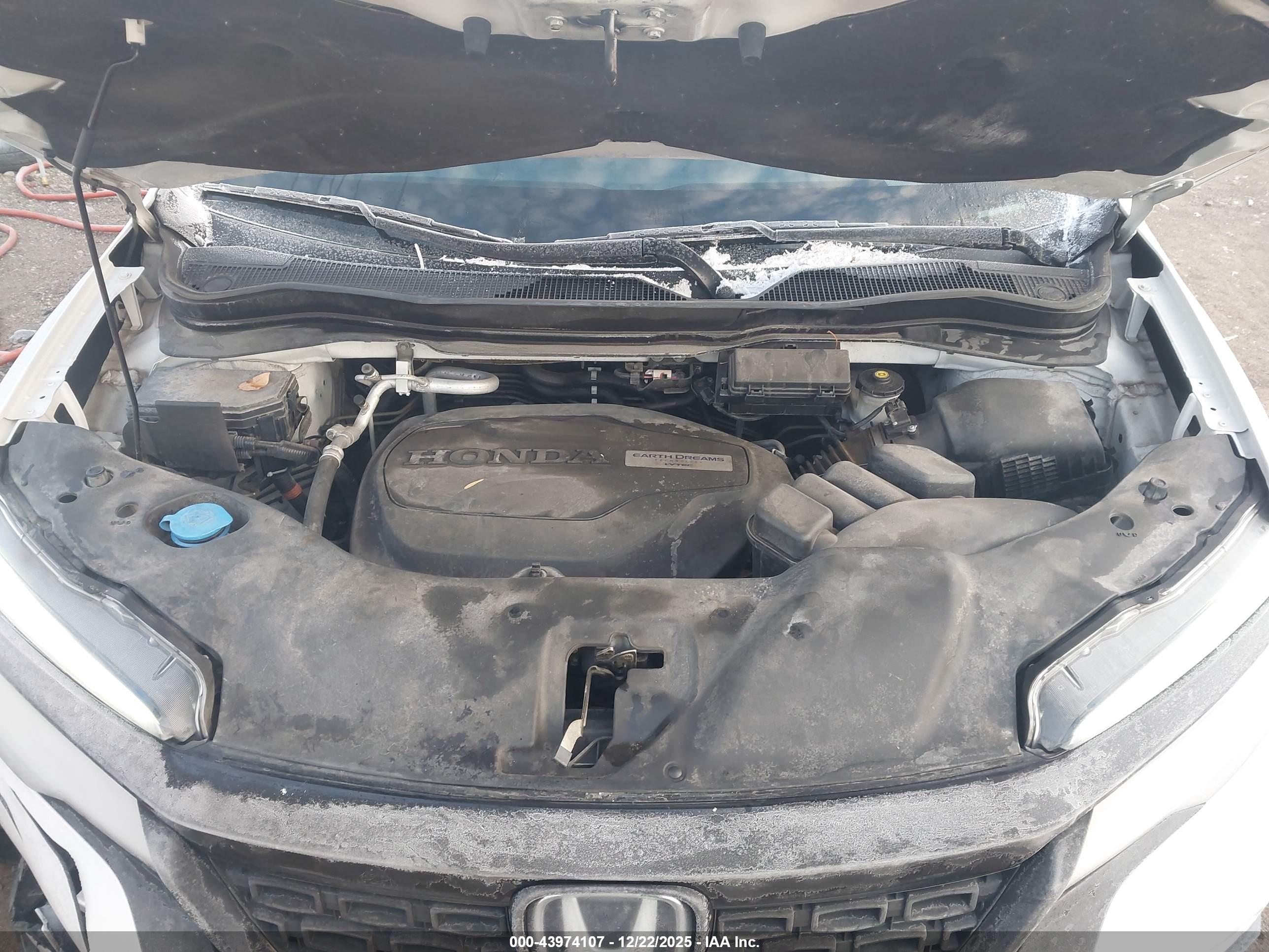 HONDA PASSPORT image 10